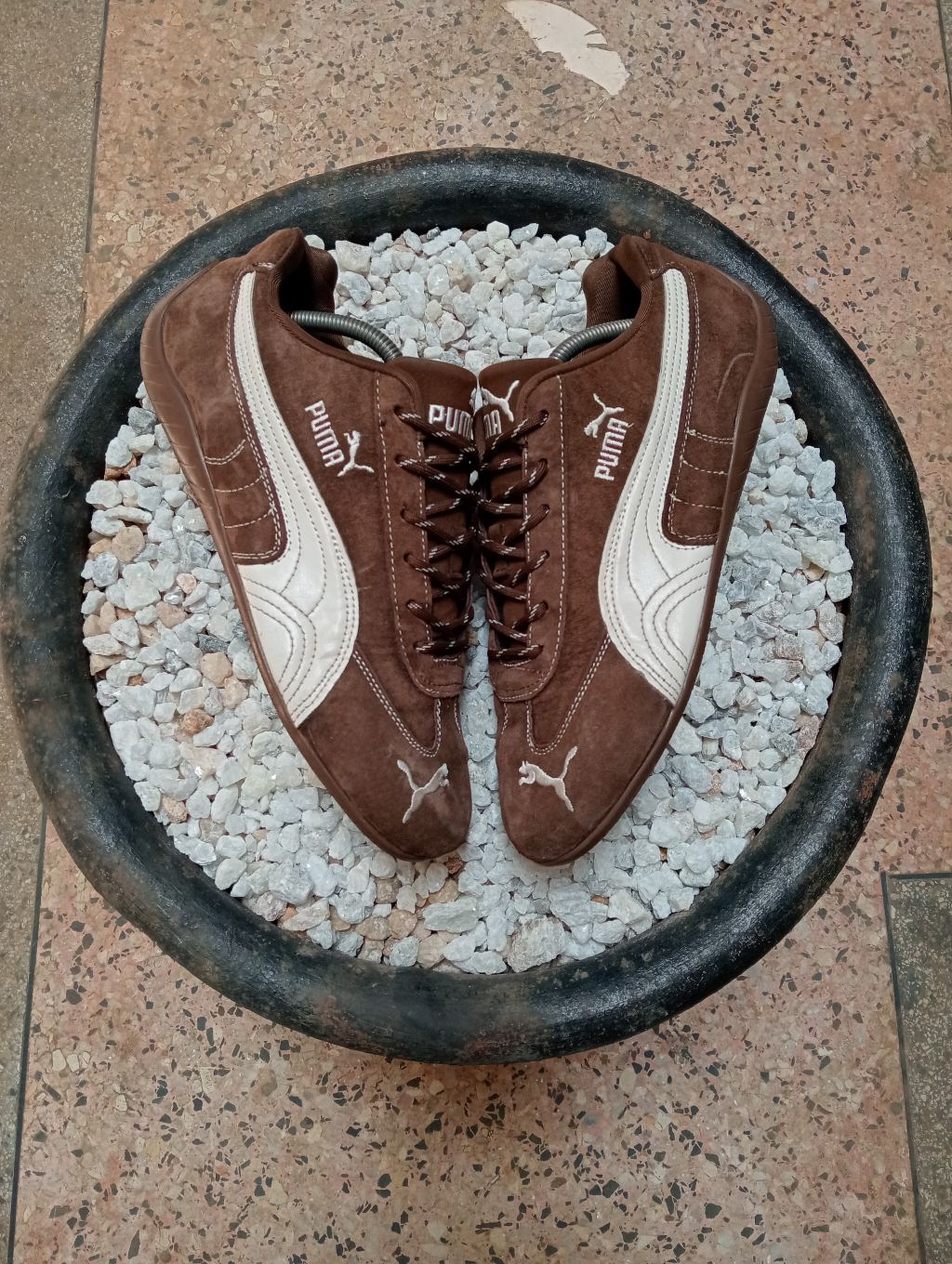 PUMA SPEED CAT 🤎