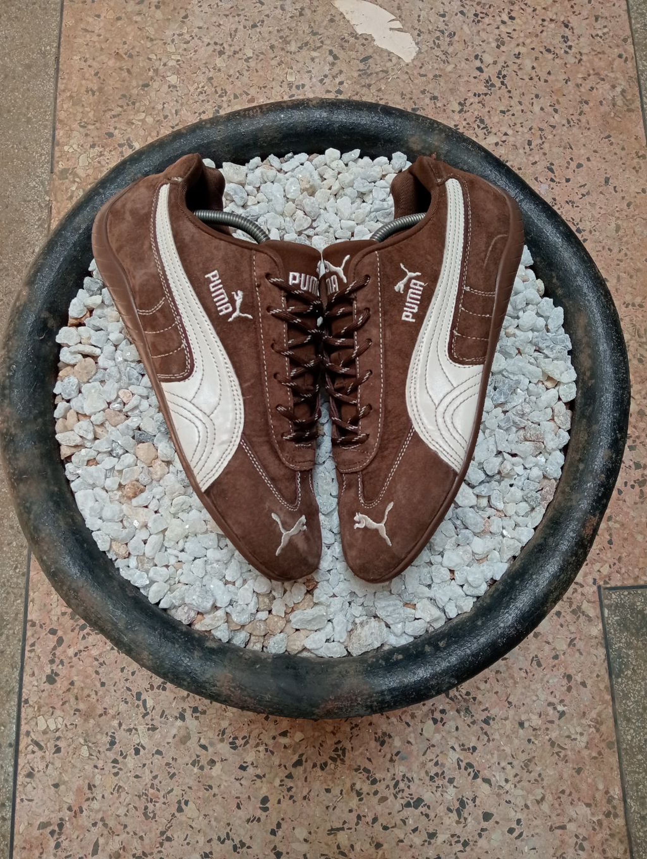 PUMA SPEED CAT 🤎