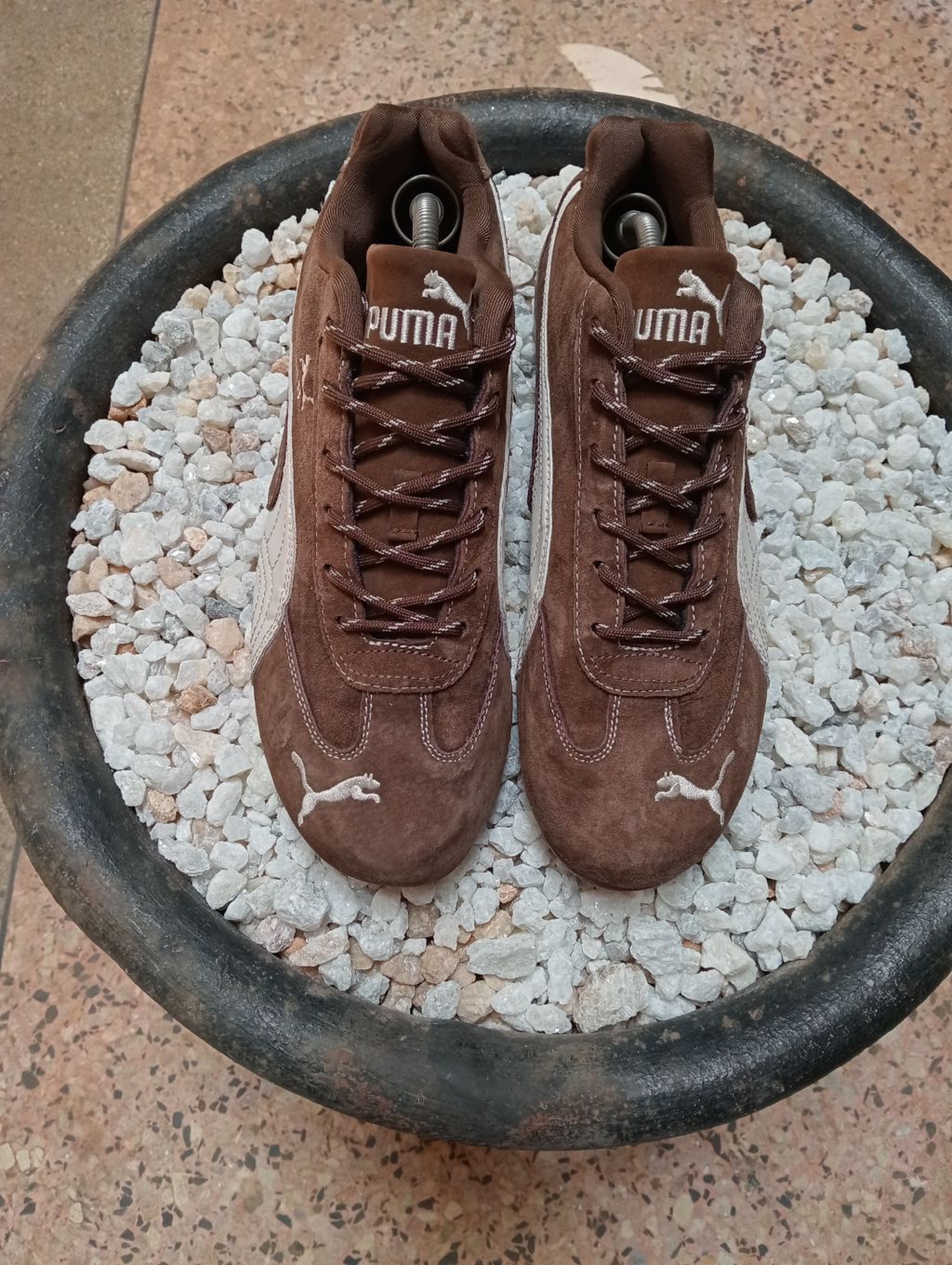 PUMA SPEED CAT 🤎