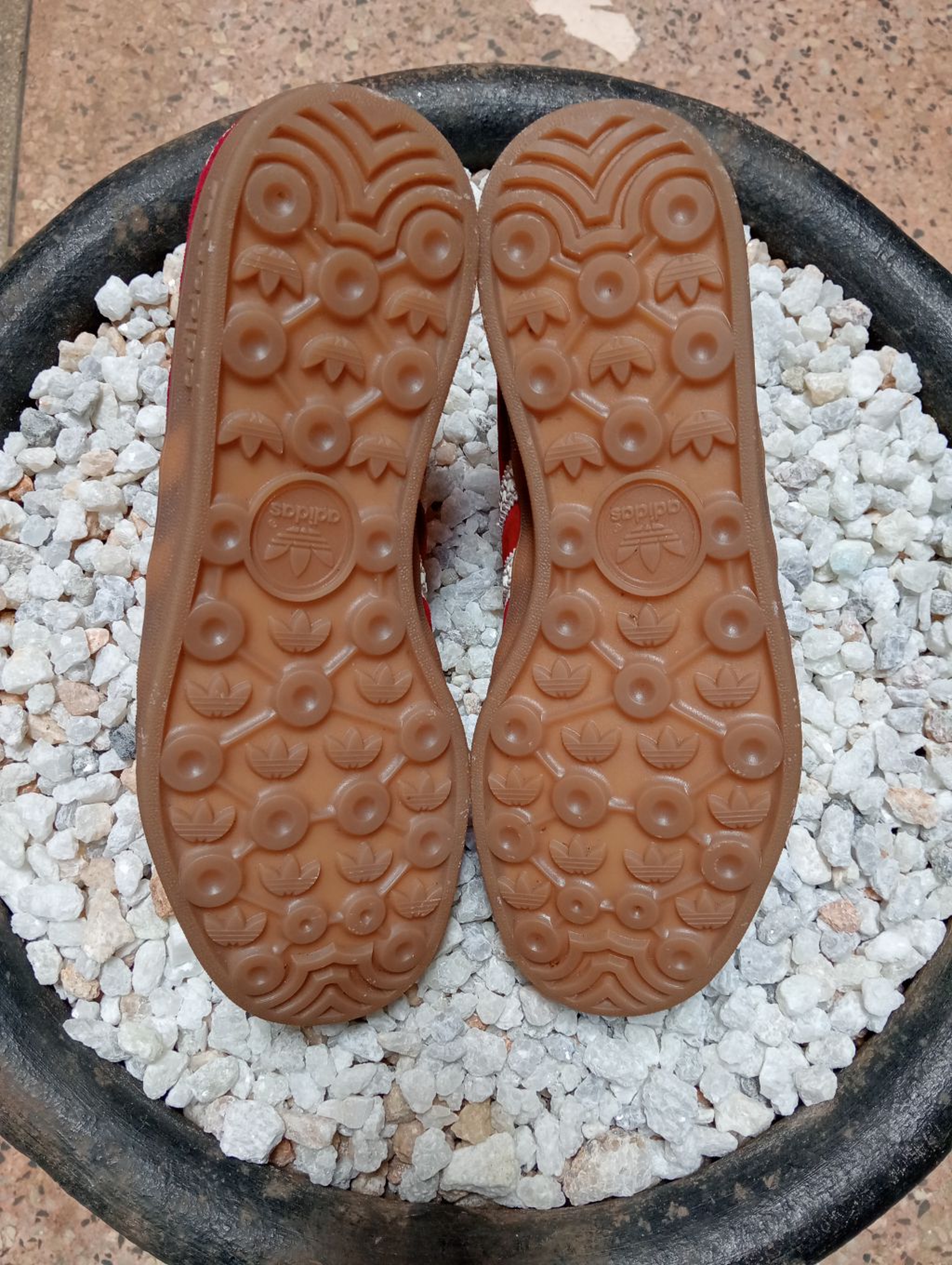 ADIDAS GAZELLE 