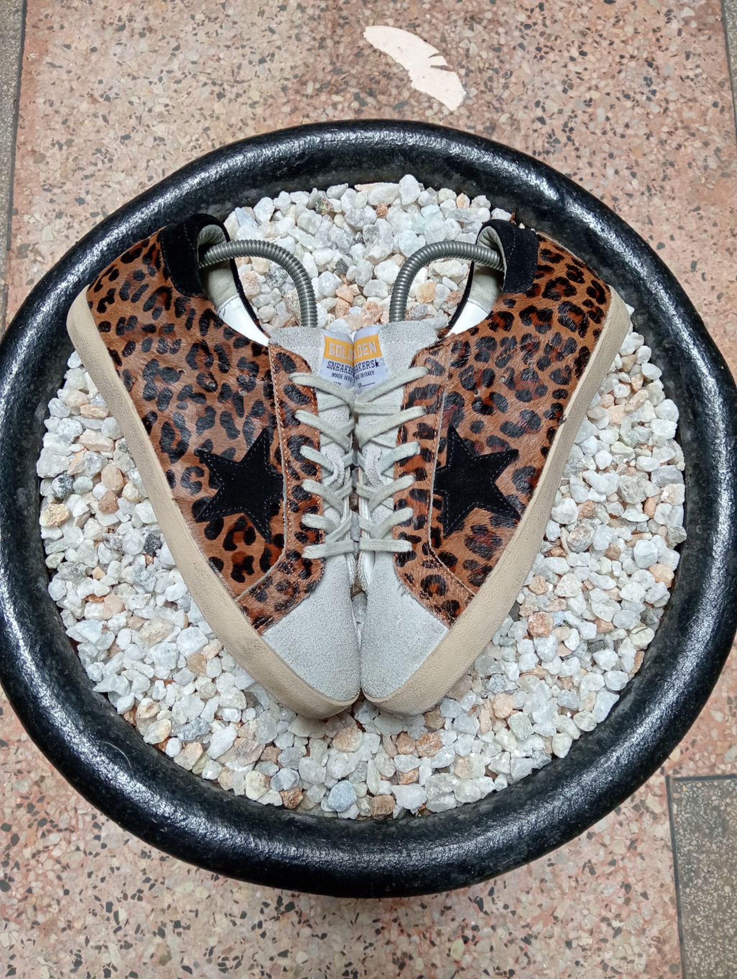GOLDEN GOOSE 🤎