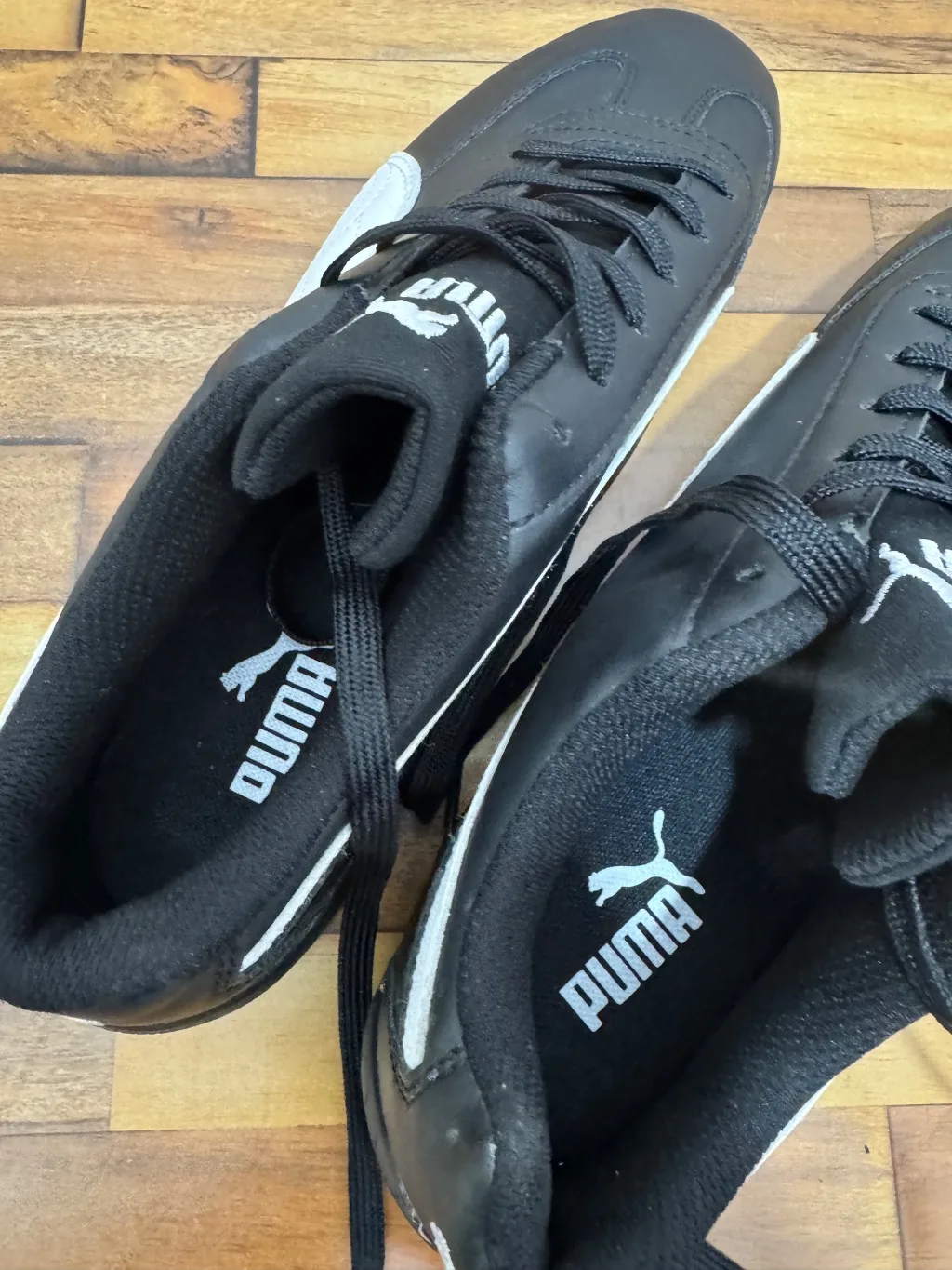PUMA SPEEDCAT 🖤