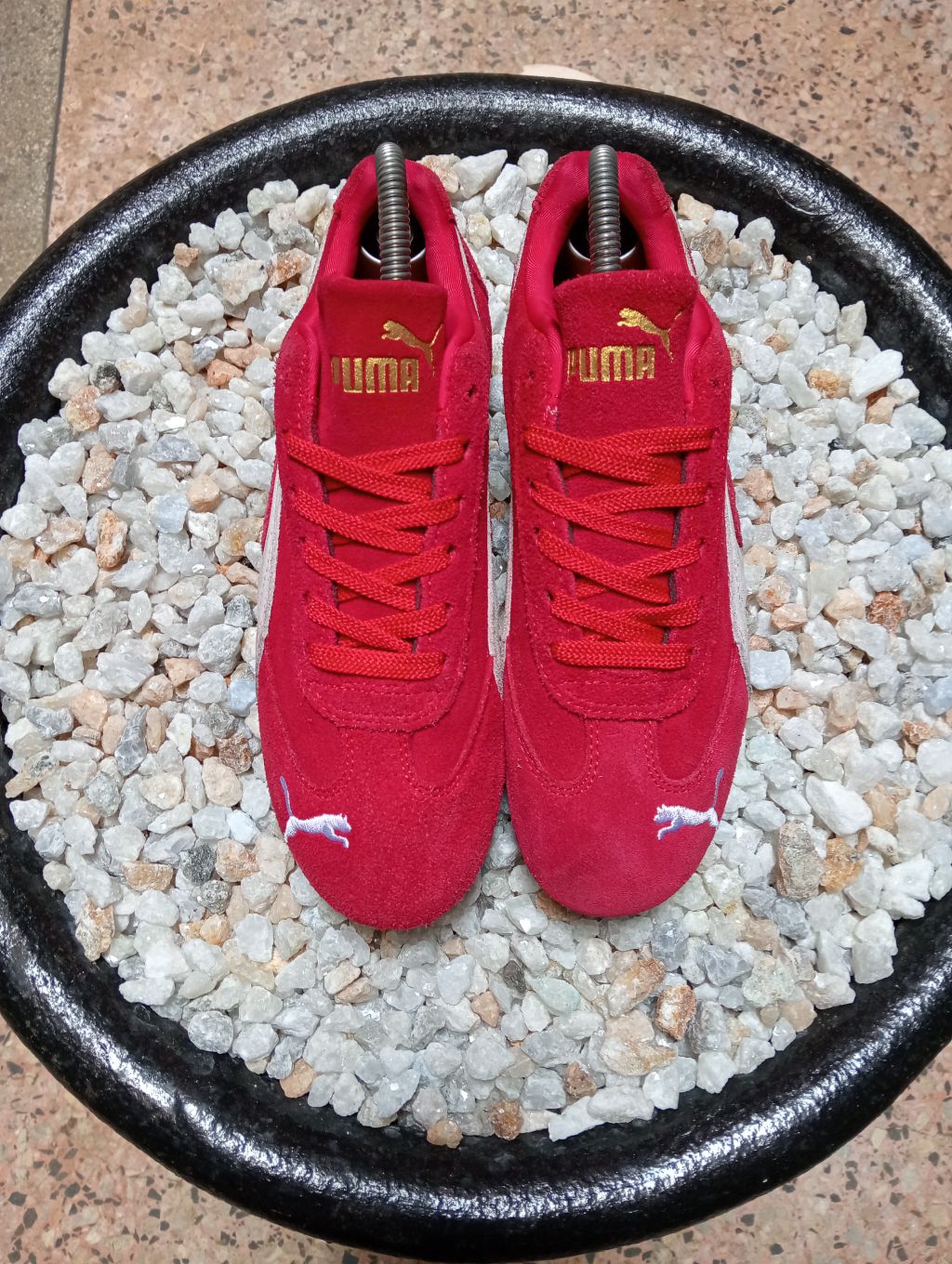 PUMA SPEECAT ❤️