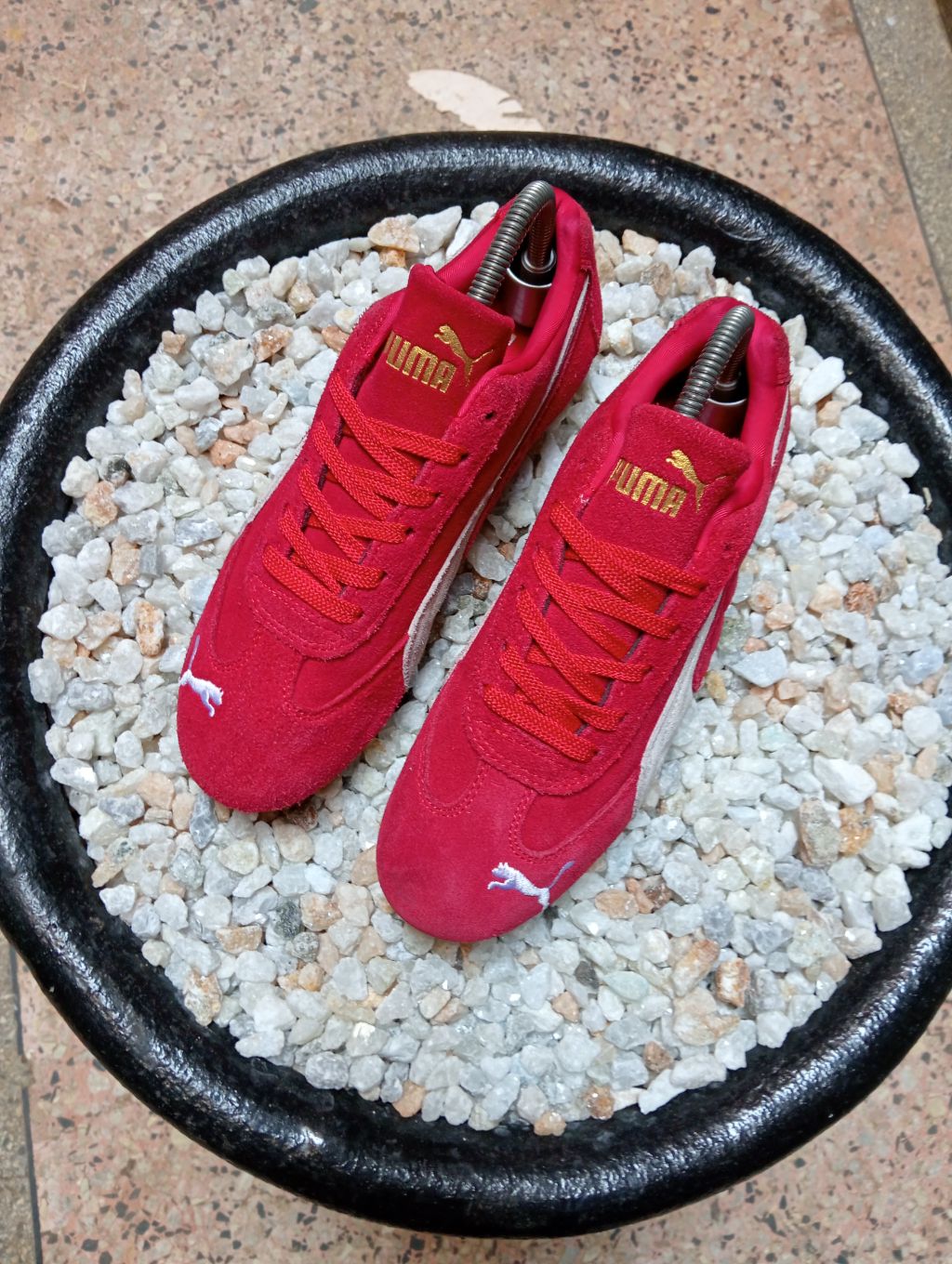 PUMA SPEECAT ❤️