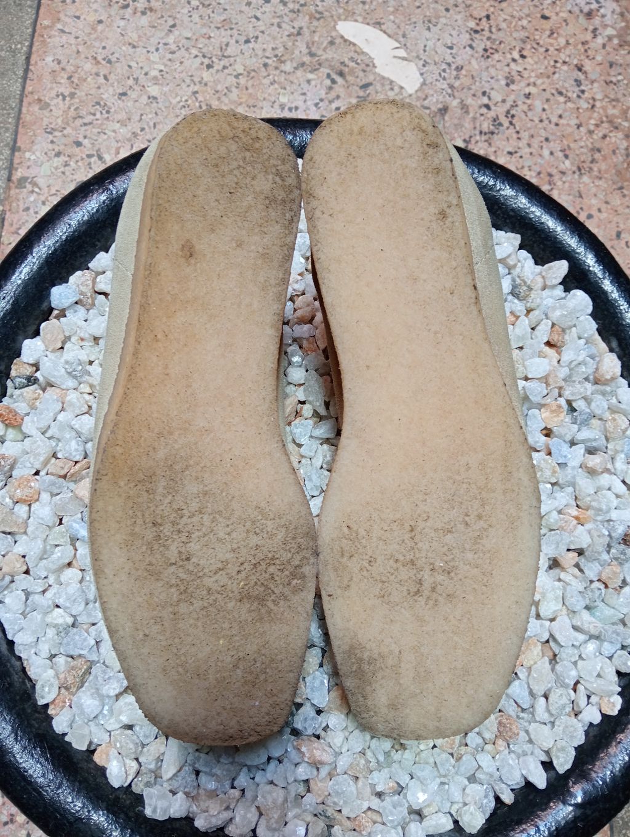 CLARKS WALABEES 