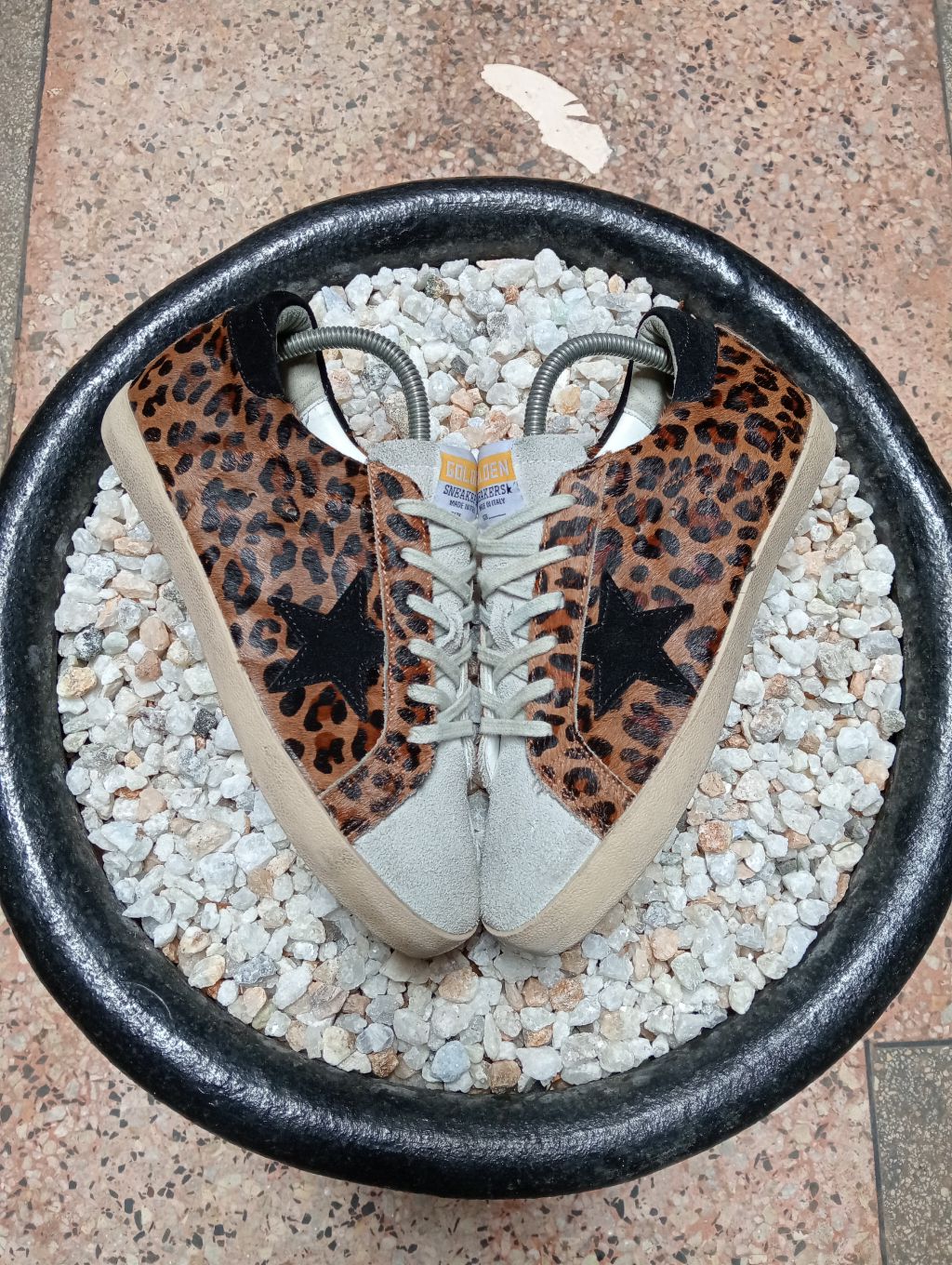 GOLDEN GOOSE 🤎