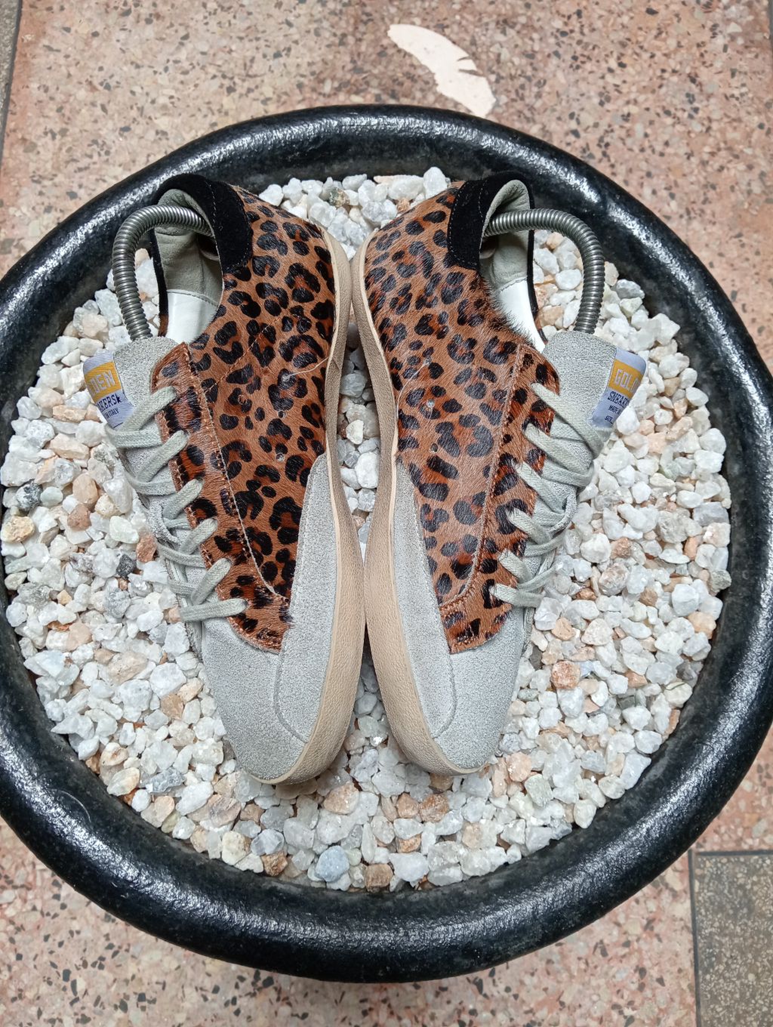 GOLDEN GOOSE 🤎