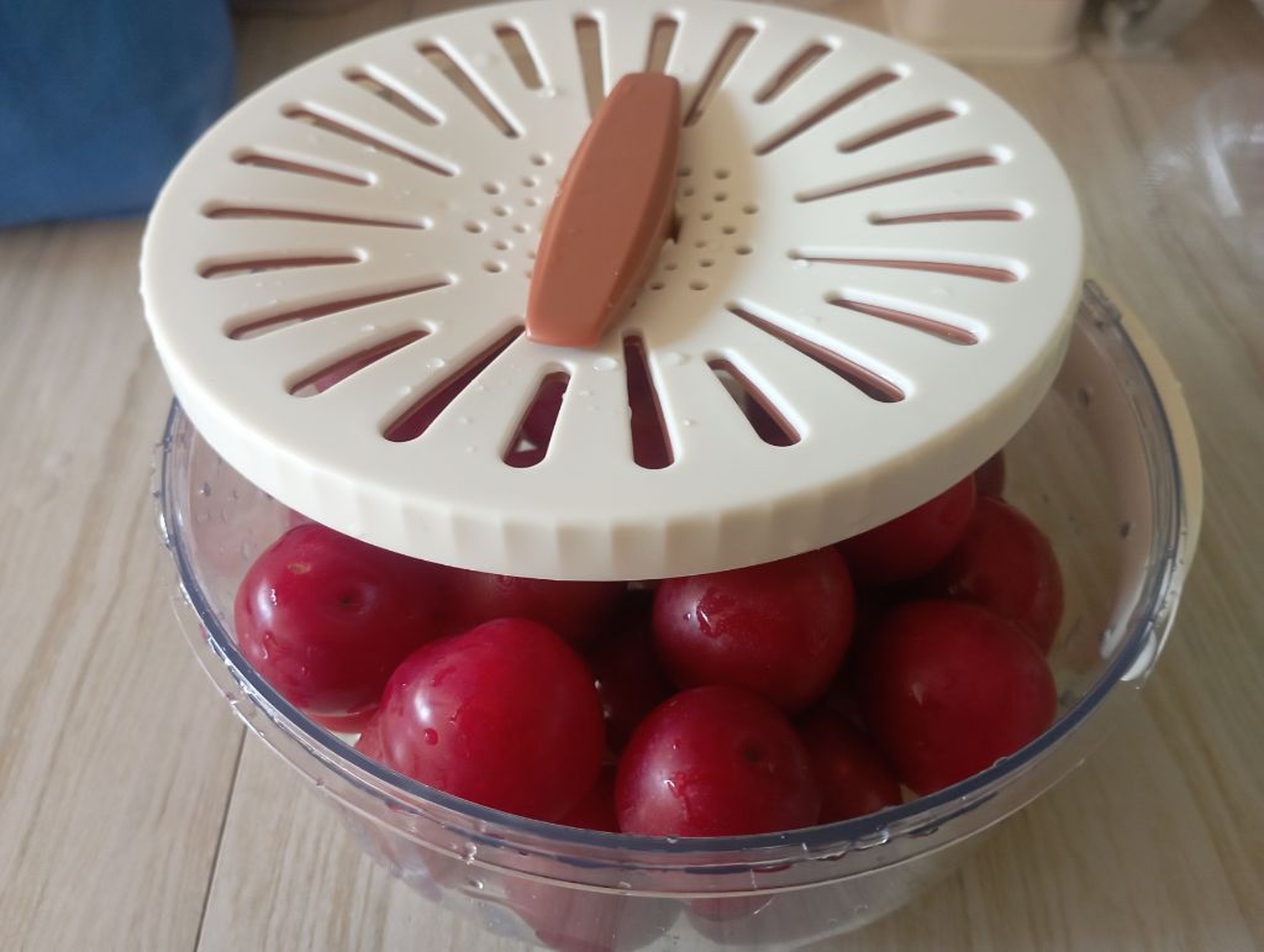 Vegetable and fruit wash and storage container