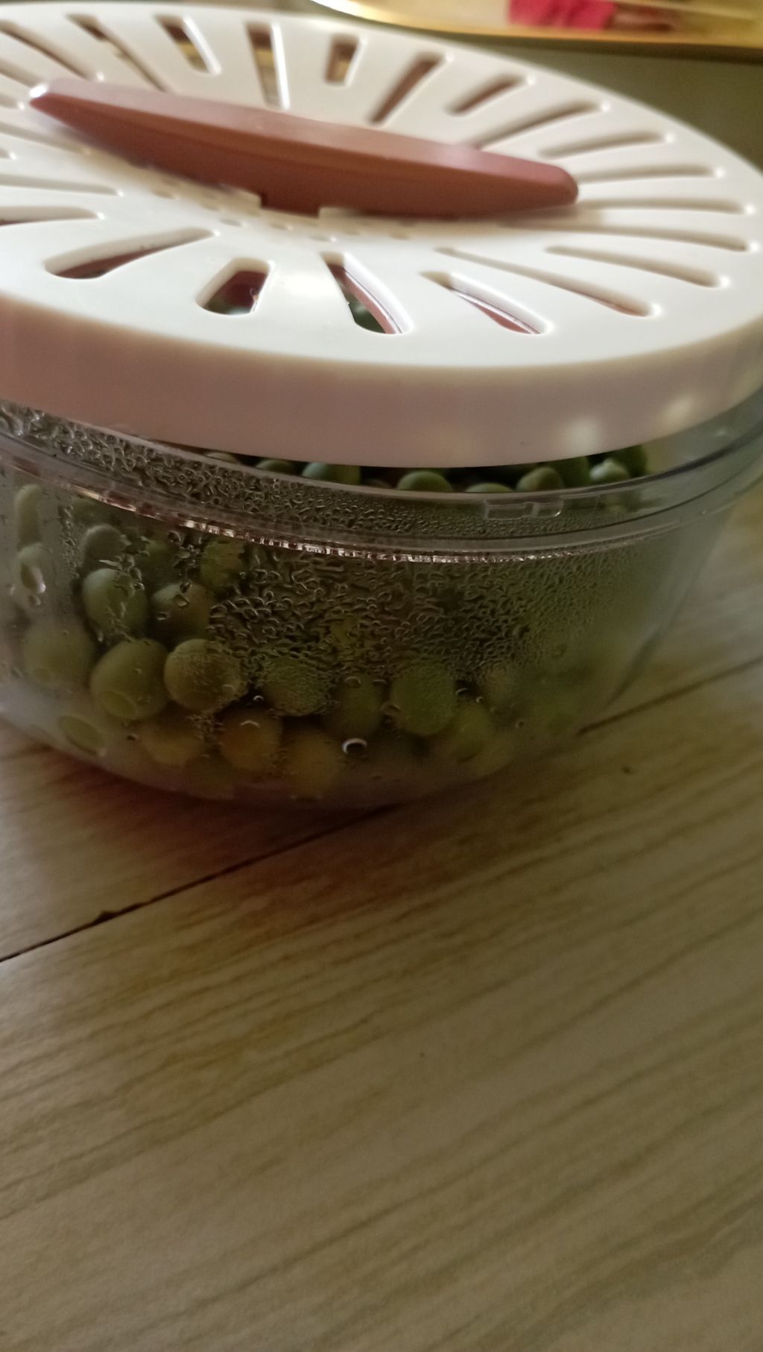 Vegetable and fruit wash and storage container