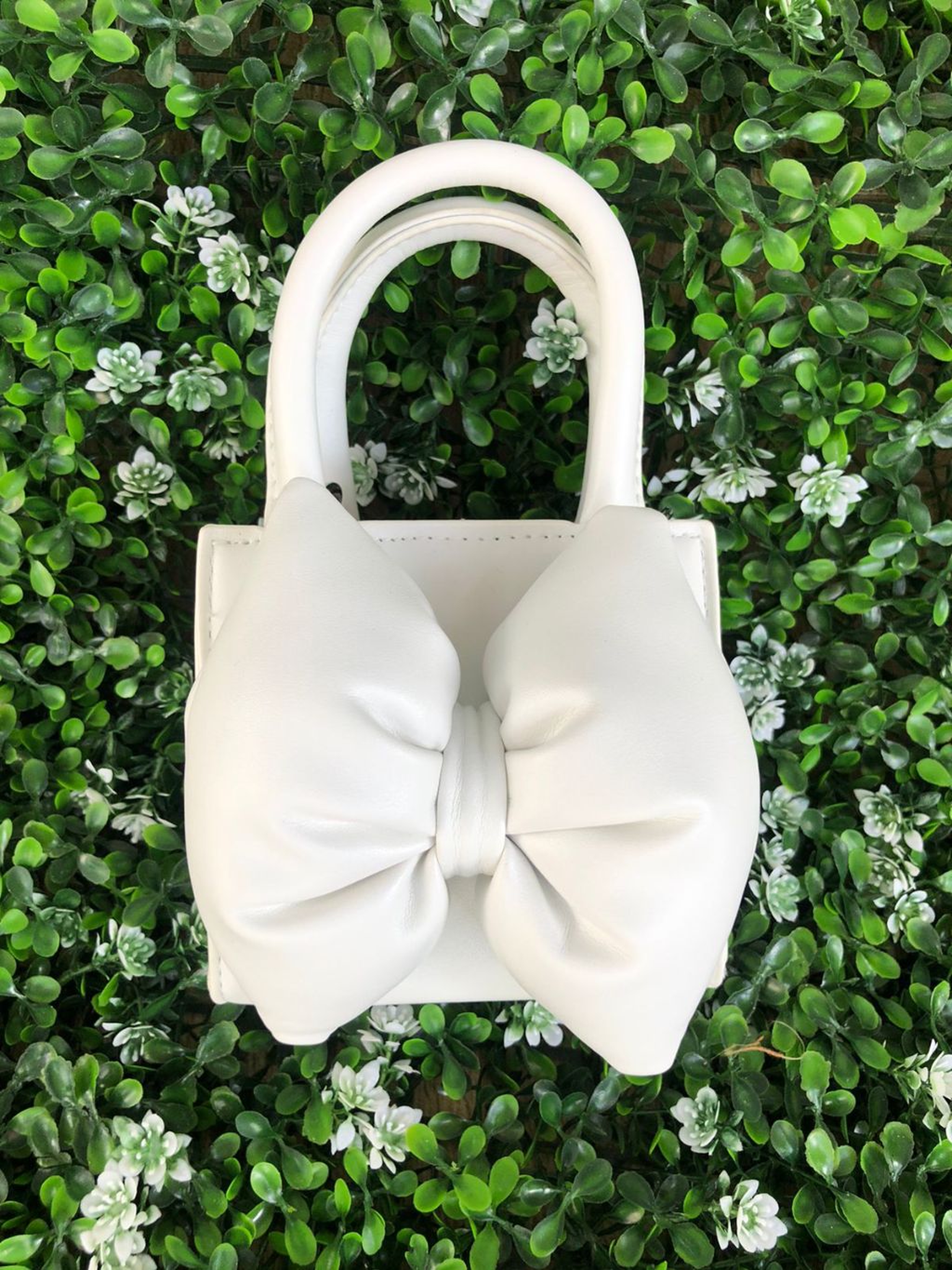 The Perfectly Sized Companion Bag