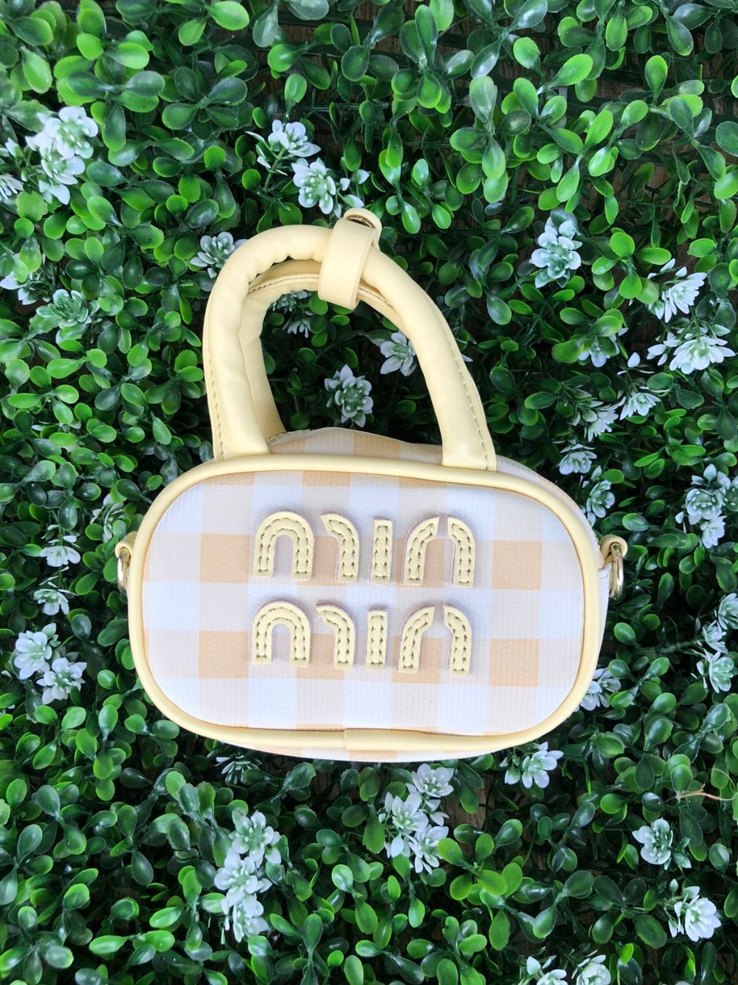 The Perfectly Sized Companion Bag