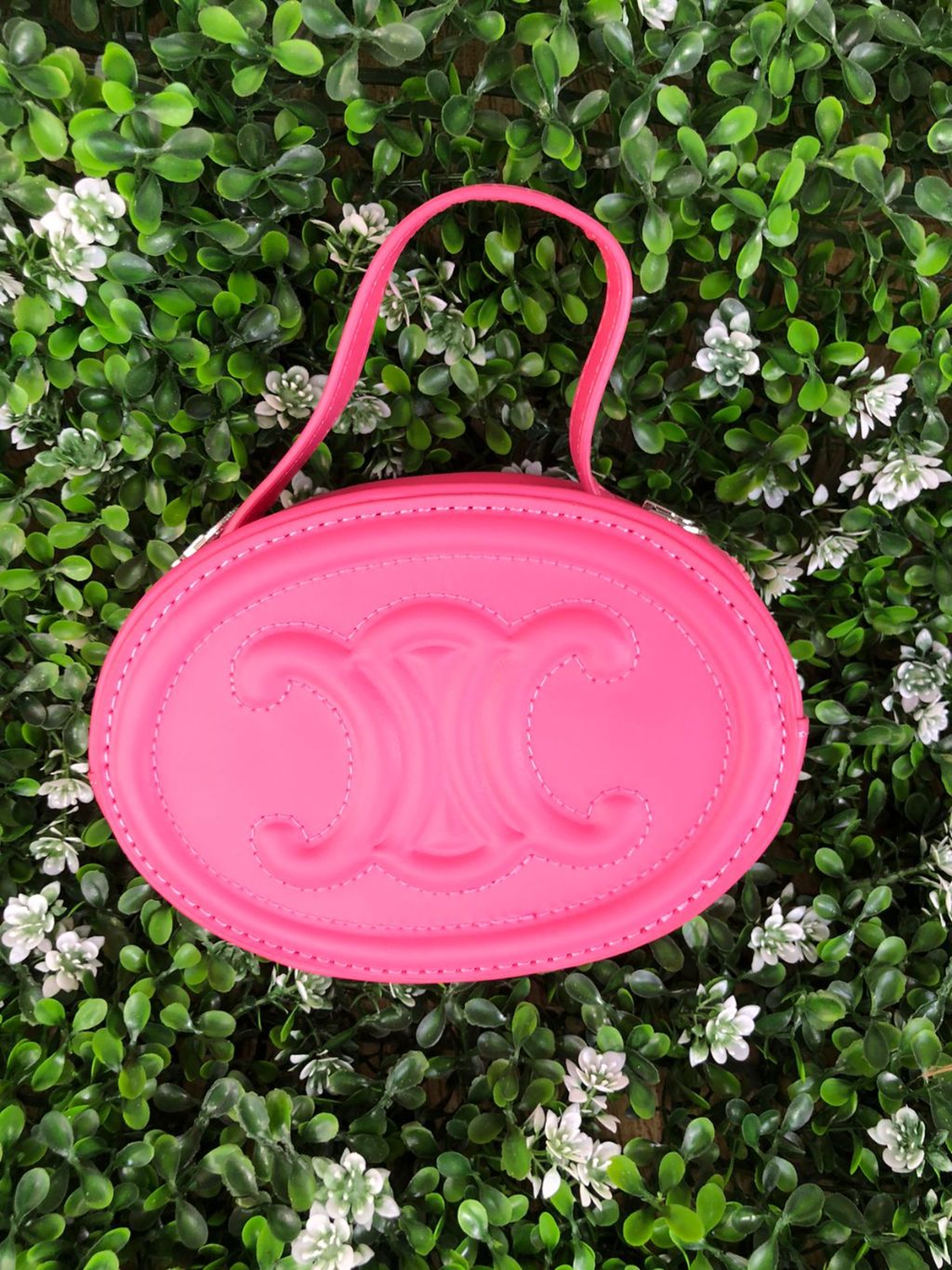 The Perfectly Sized Companion Bag