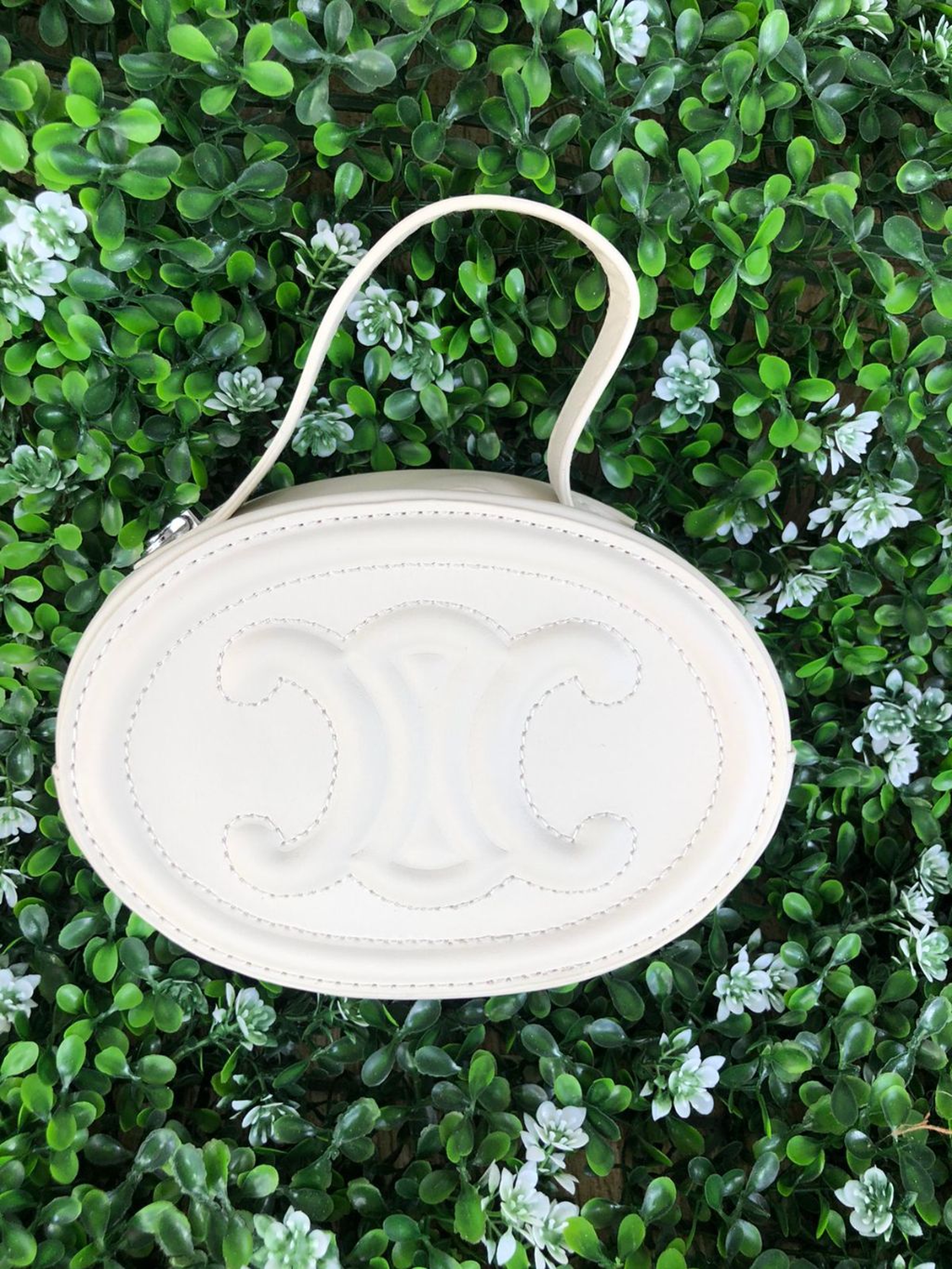 The Perfectly Sized Companion Bag