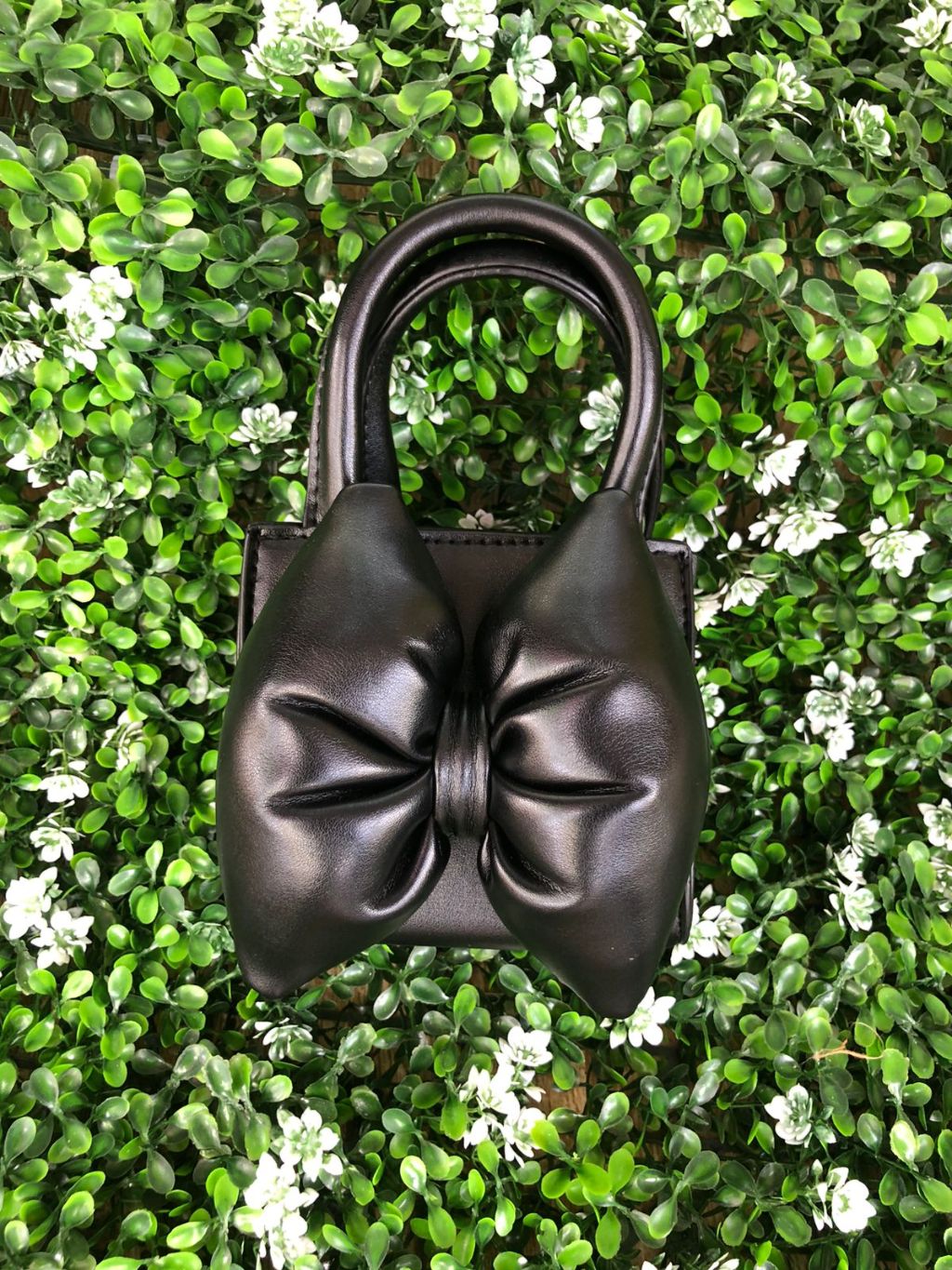 The Perfectly Sized Companion Bag