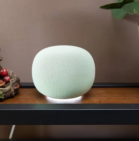 Google Home Speaker
