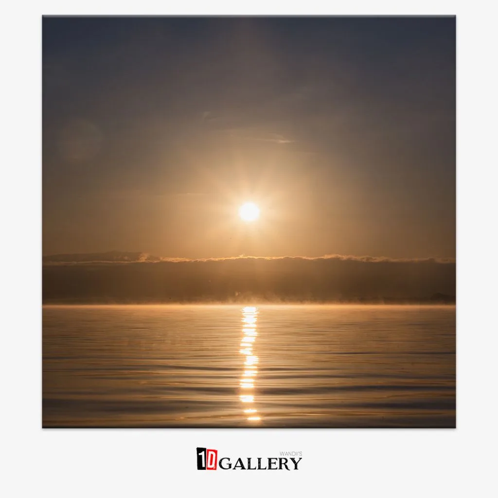 First Light