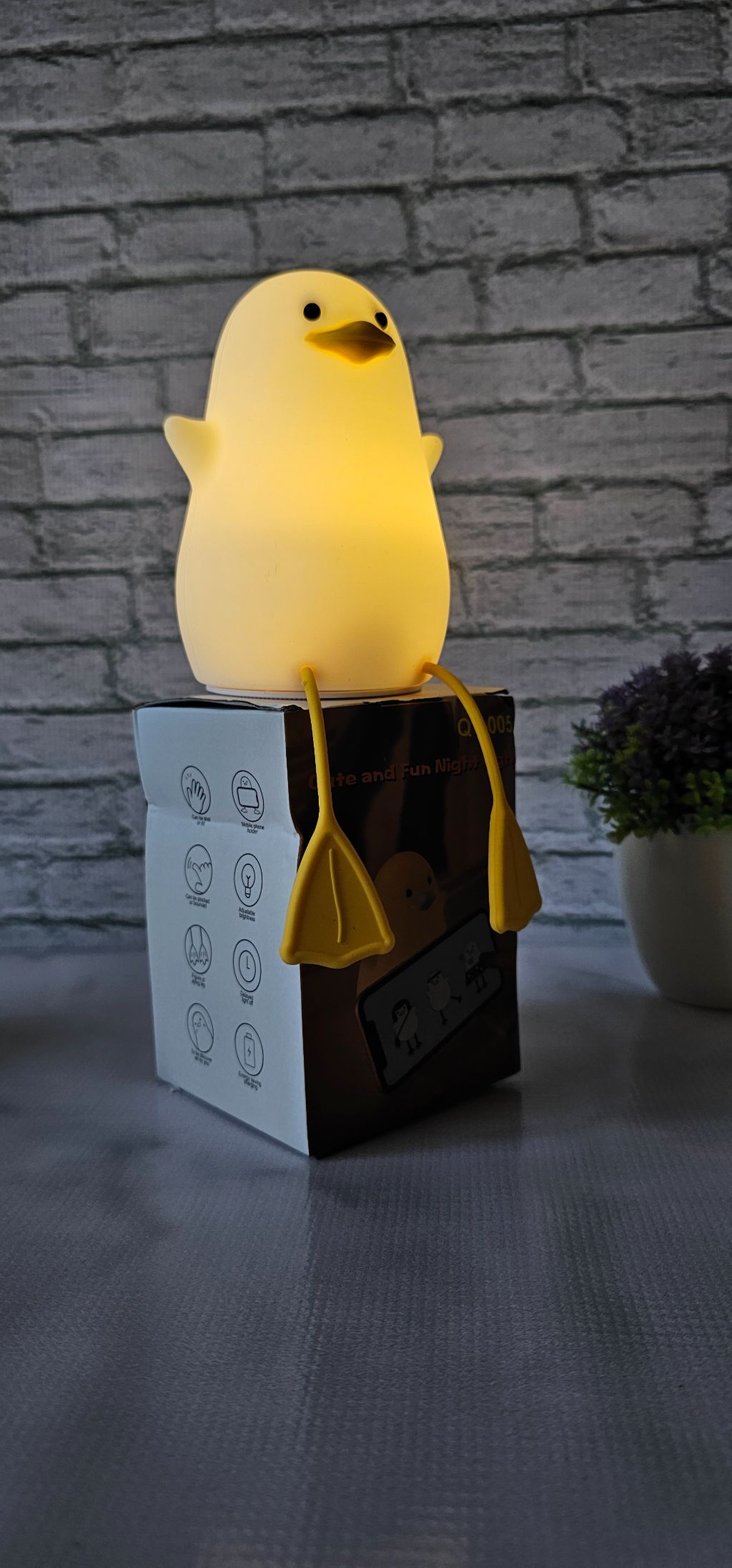 Cute rechargeable night light 