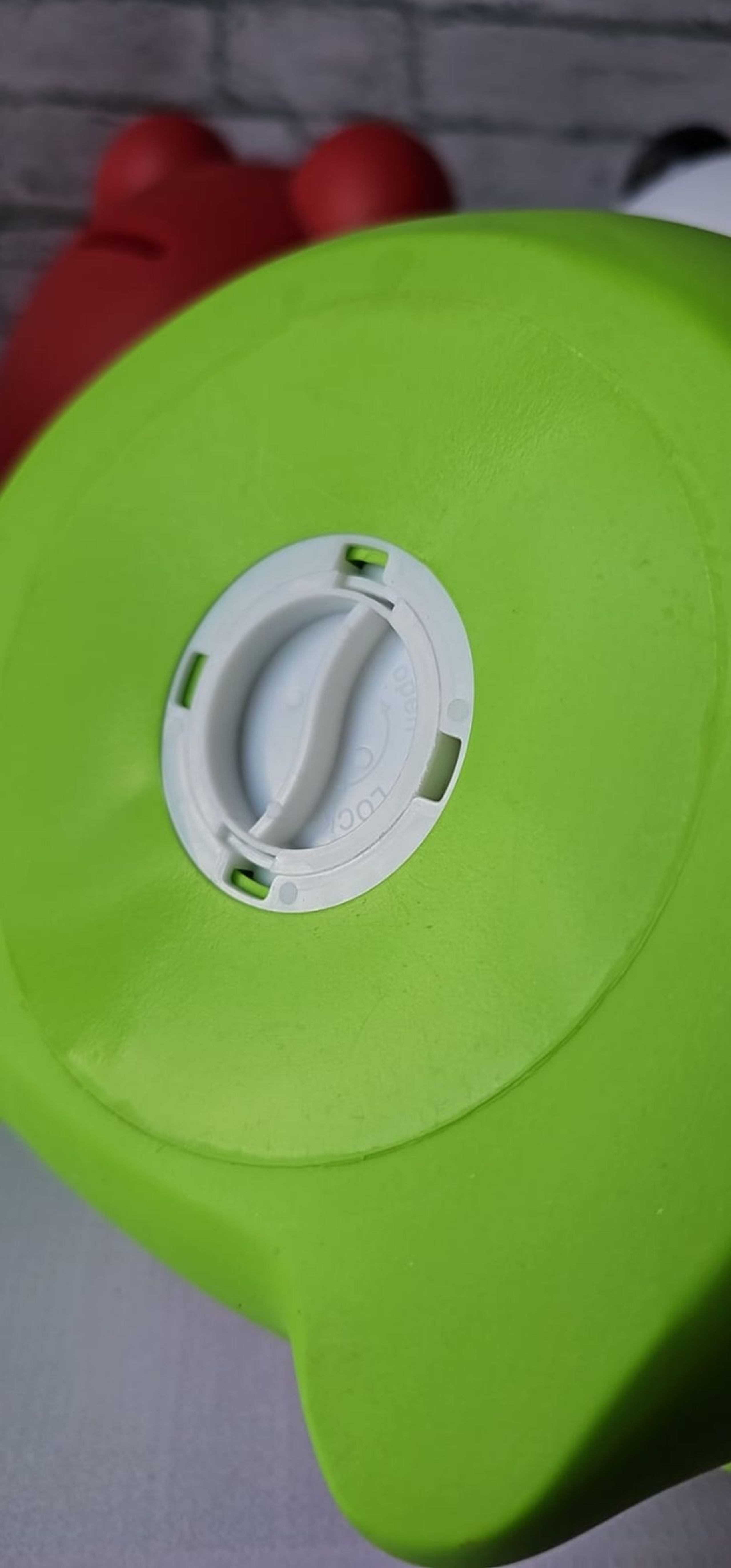 Frog piggy bank 