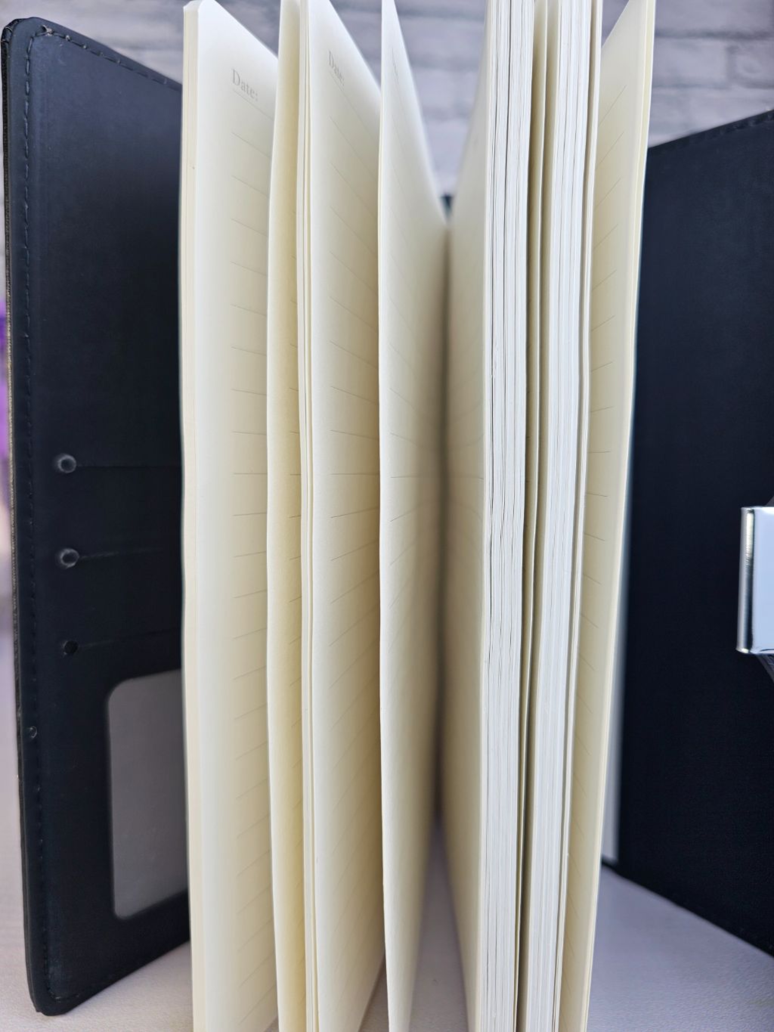 Paw lock notebooks