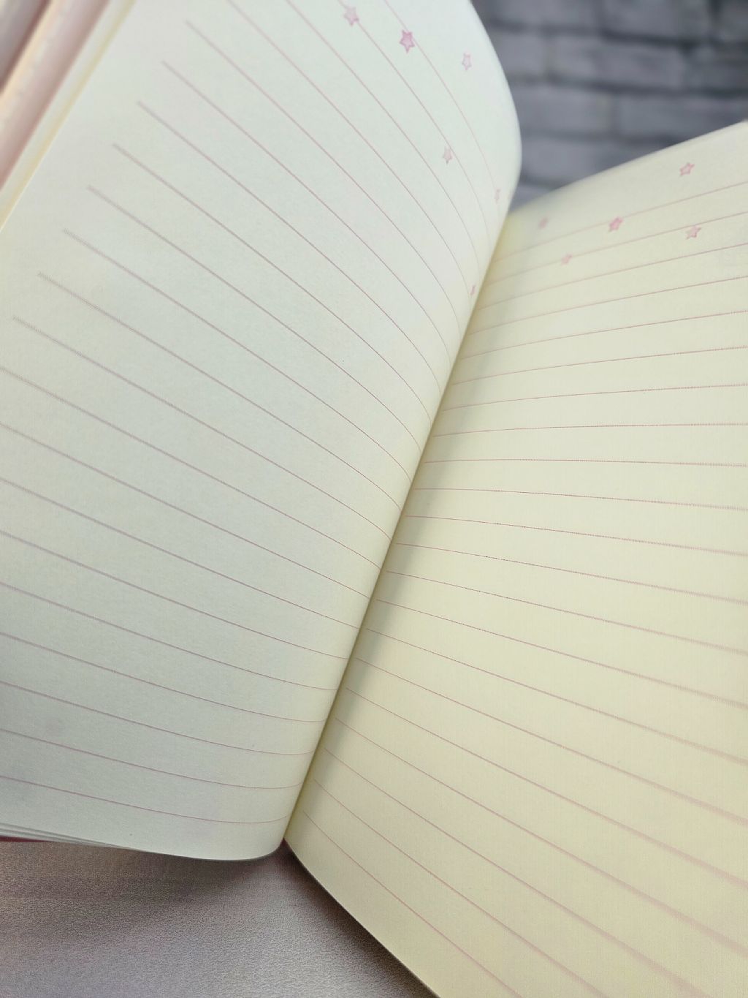 Themed page notebook