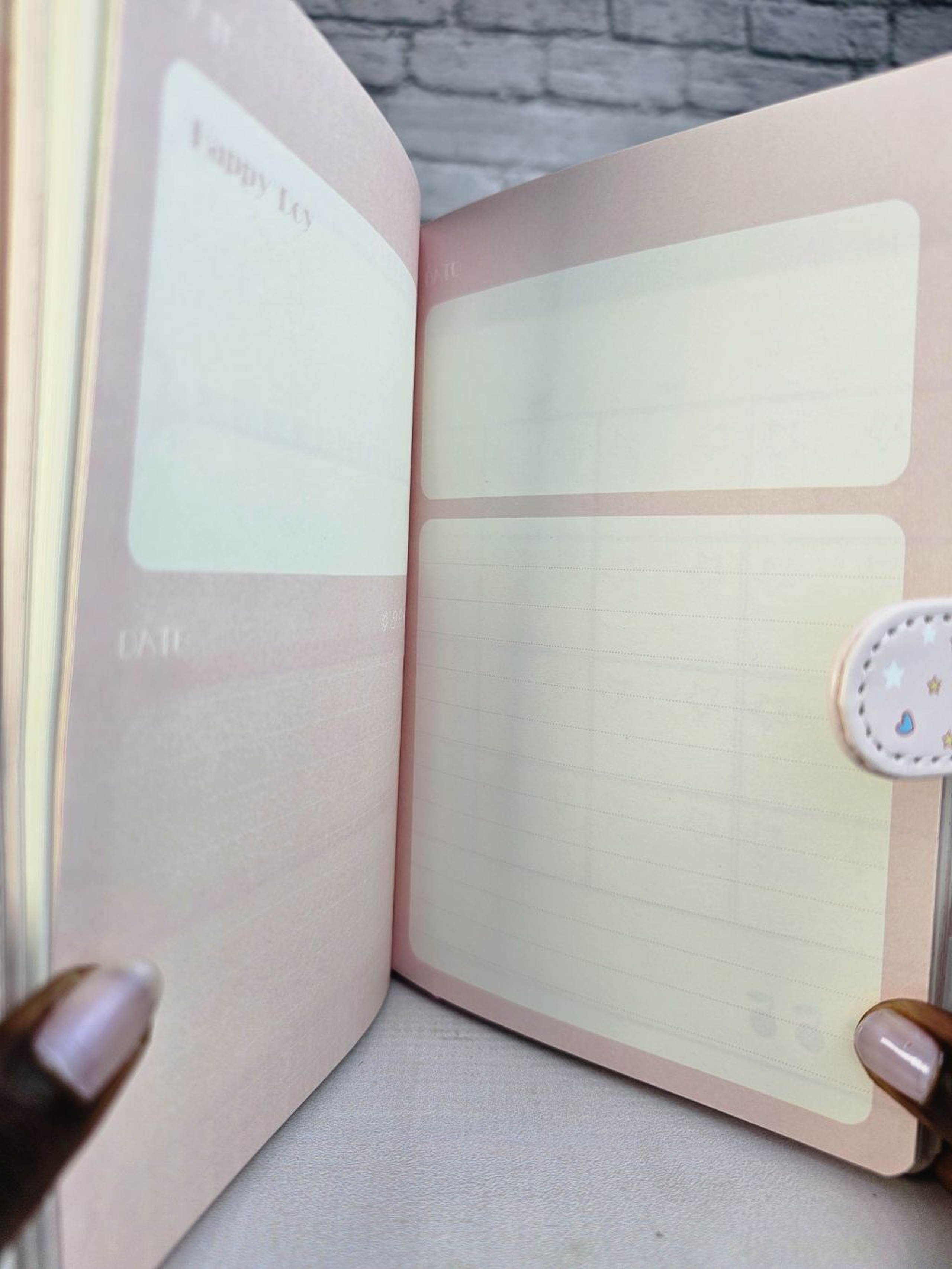 Themed page notebook