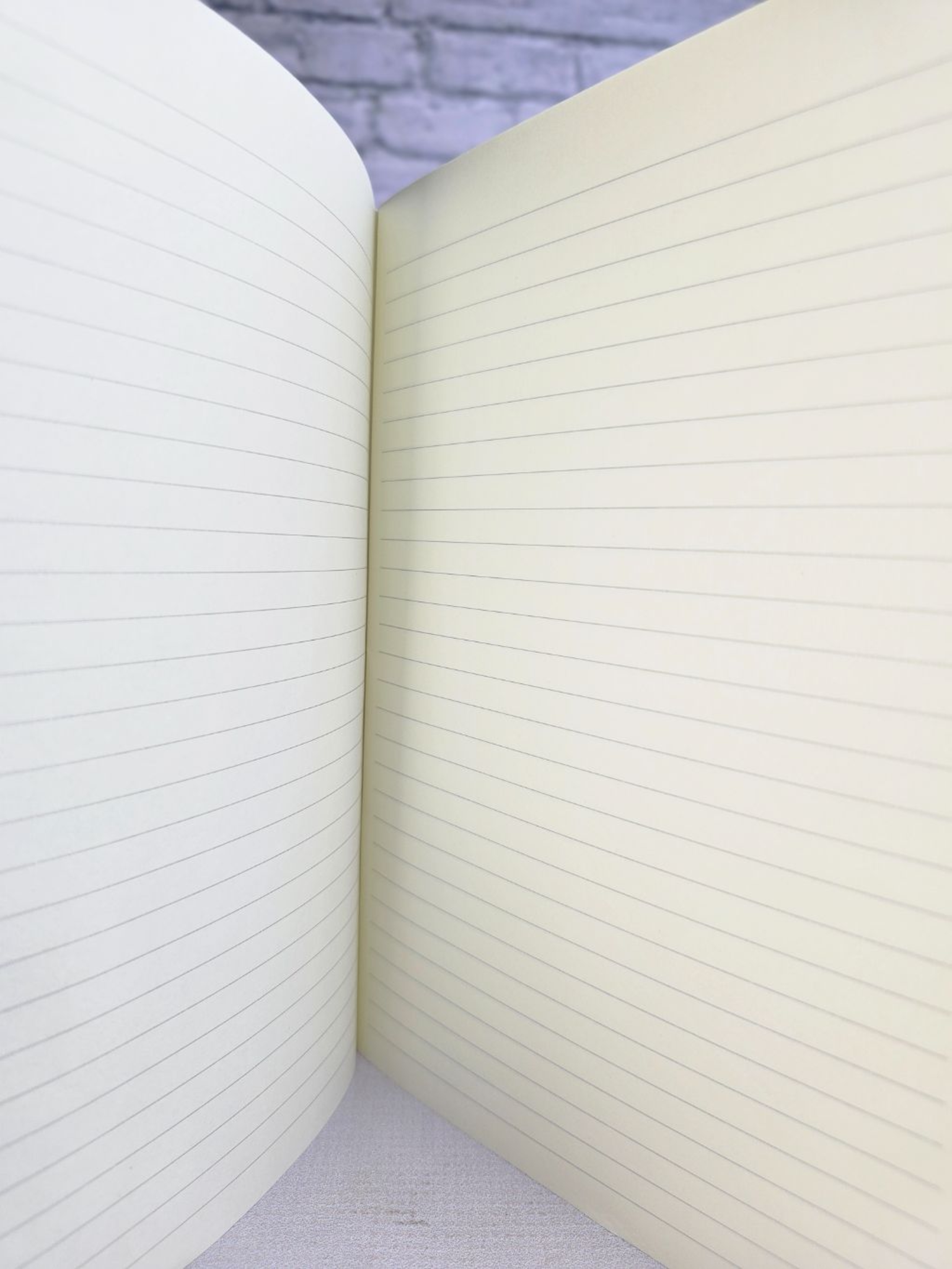 A4 cutesy notebooks