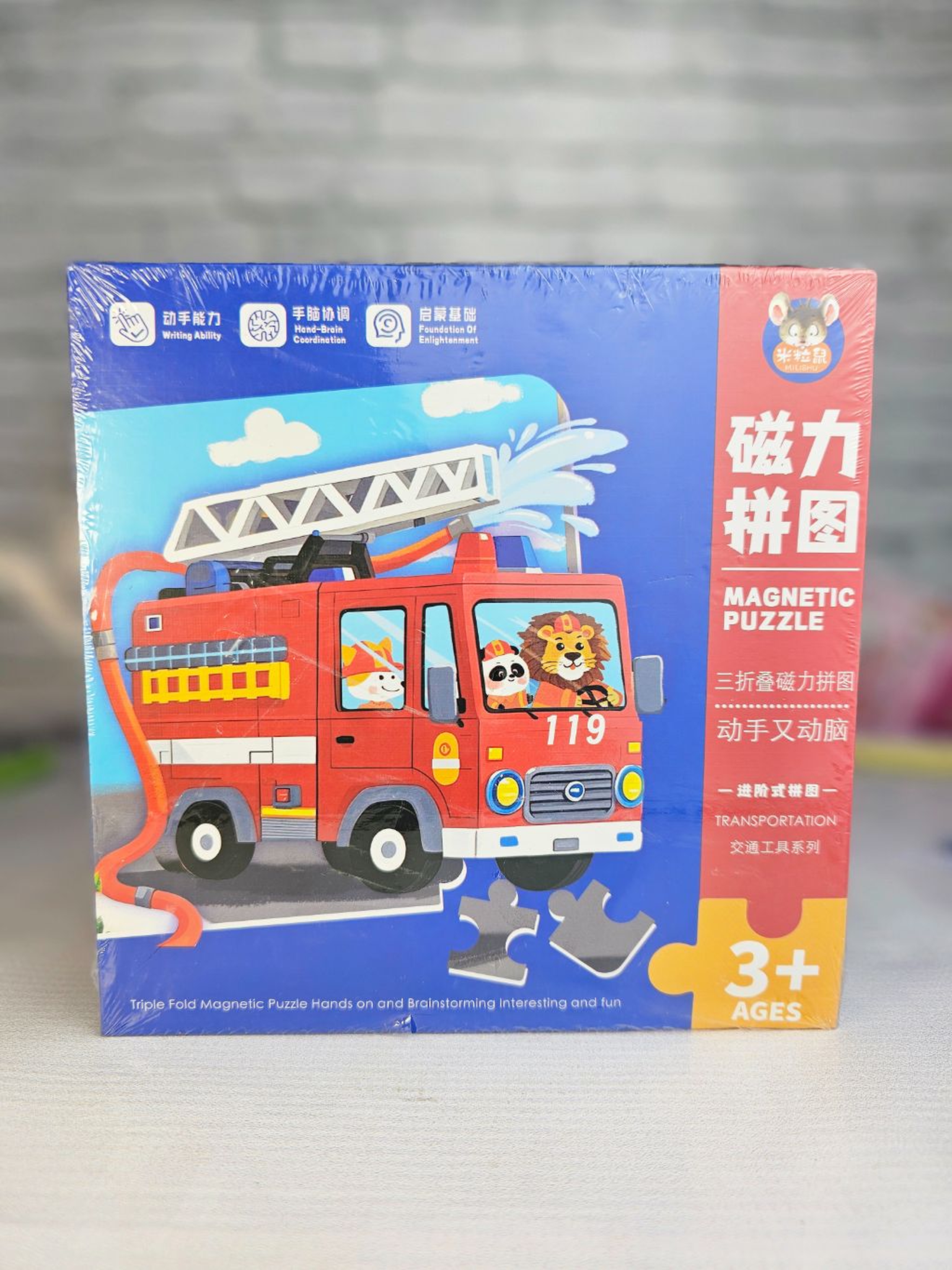 Magnetic puzzle
