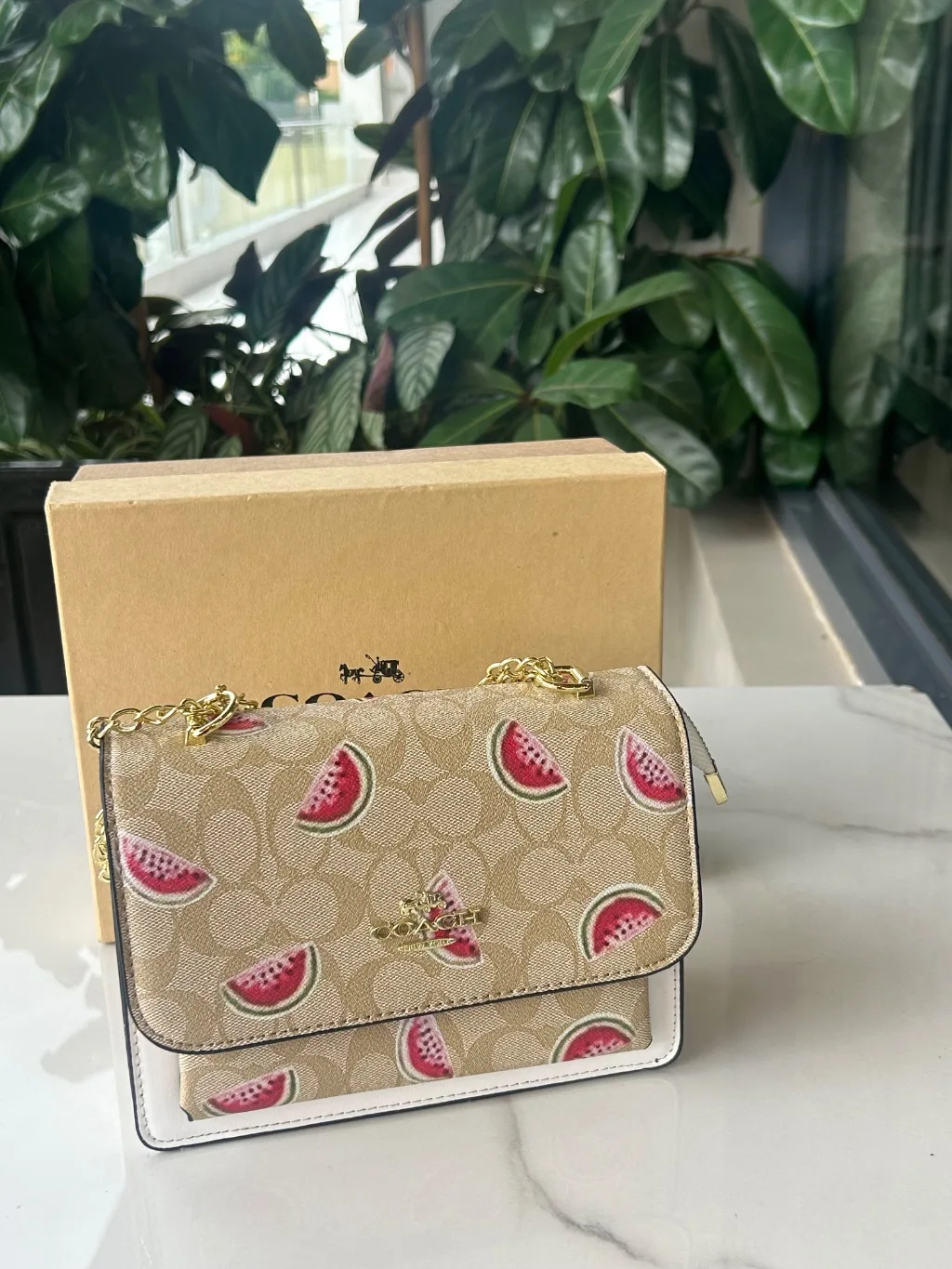 Coach fruit bag - watermelon