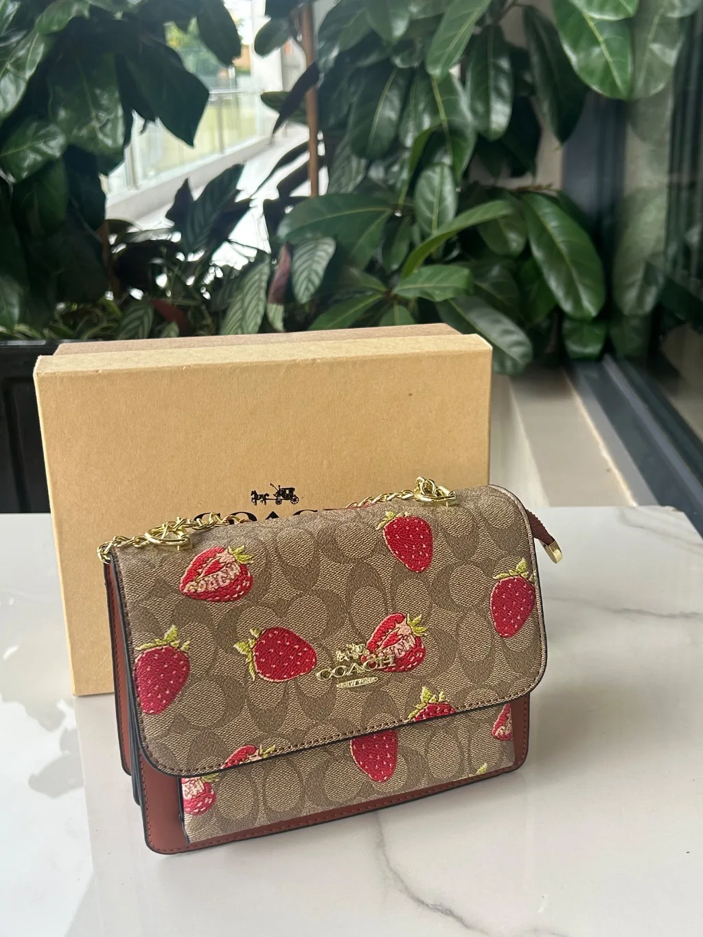 Brown Coach Strawberry bag