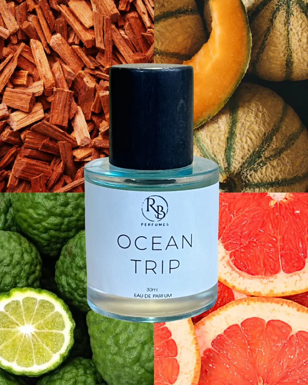 Ocean Trip