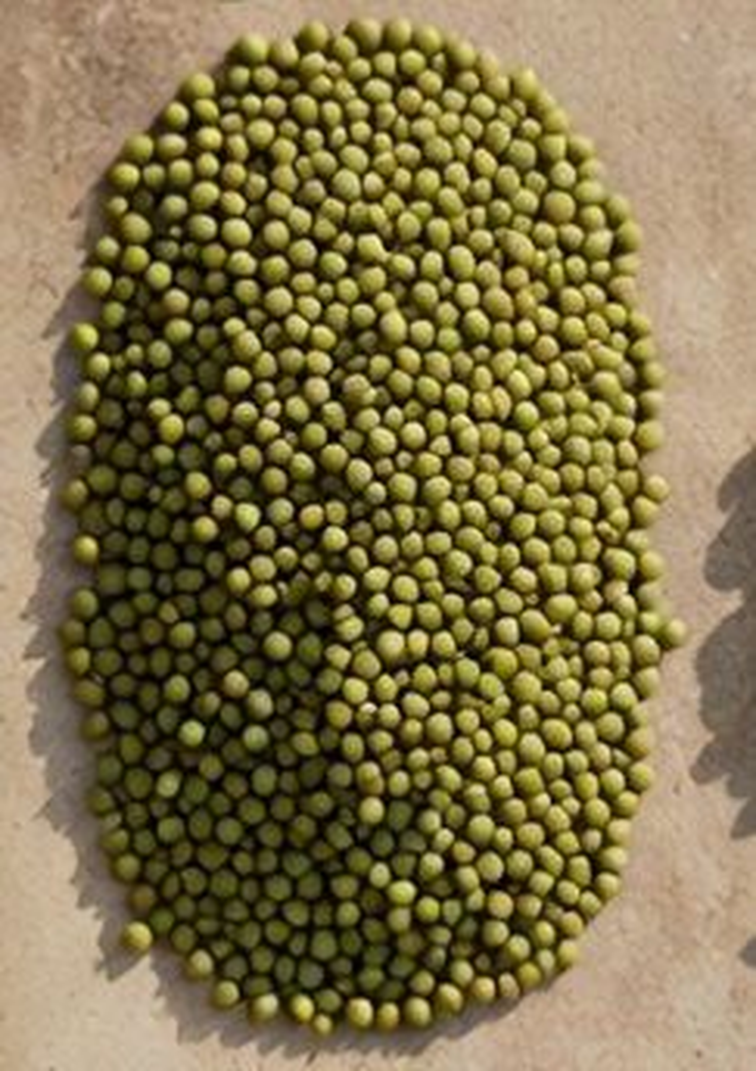 Green grams / ndengu