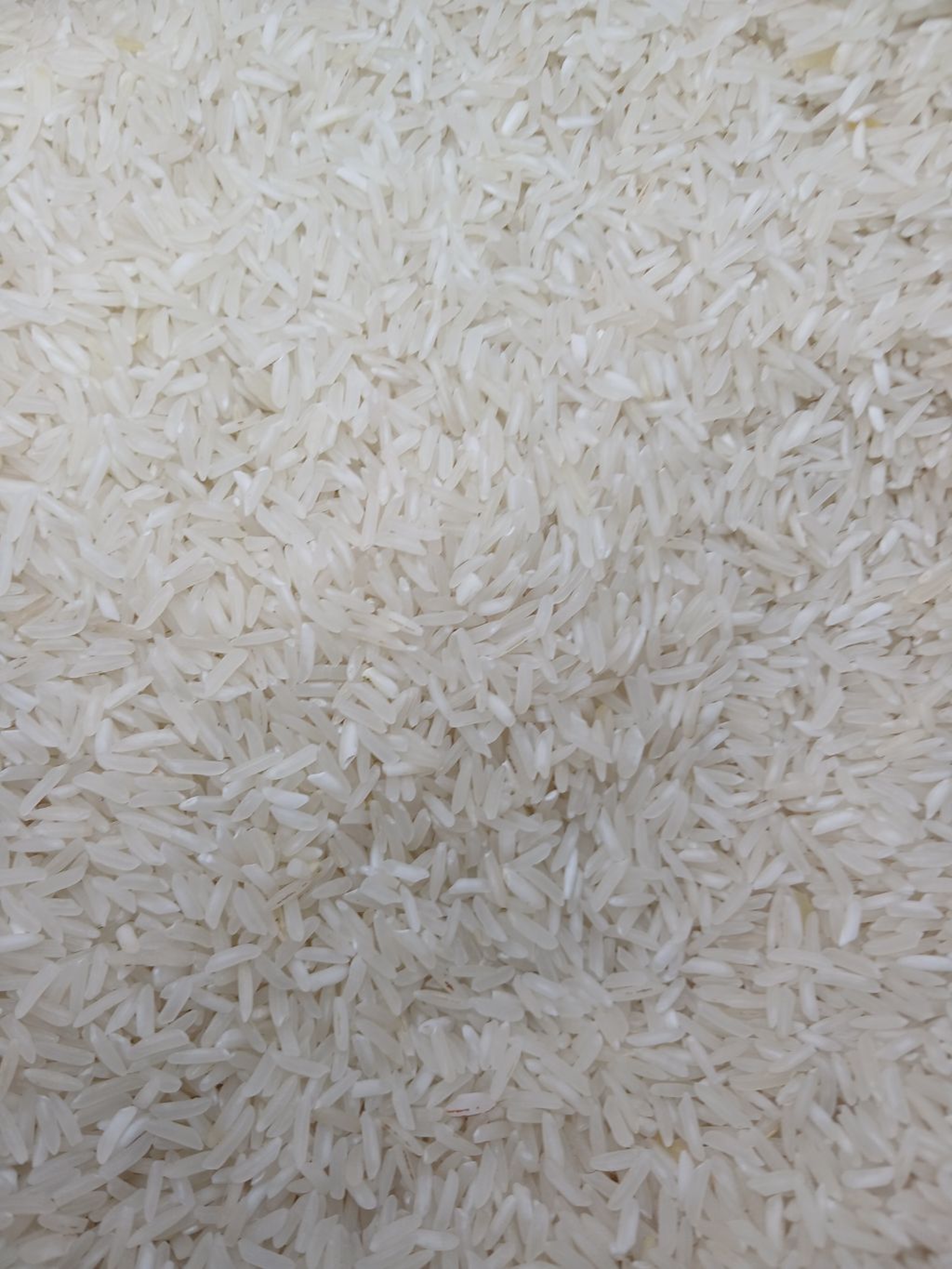 Sindano white rice 