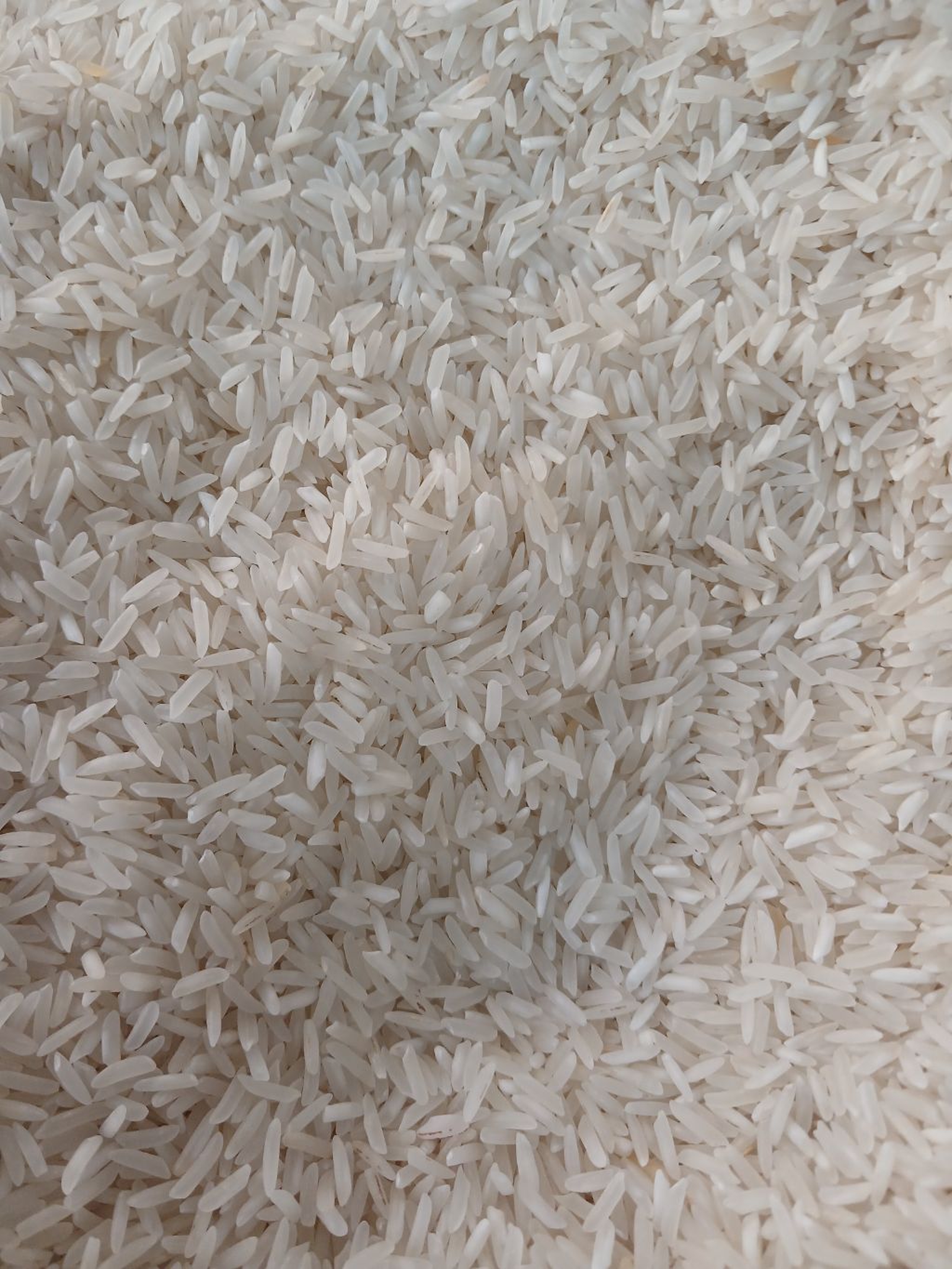 Sindano white rice 