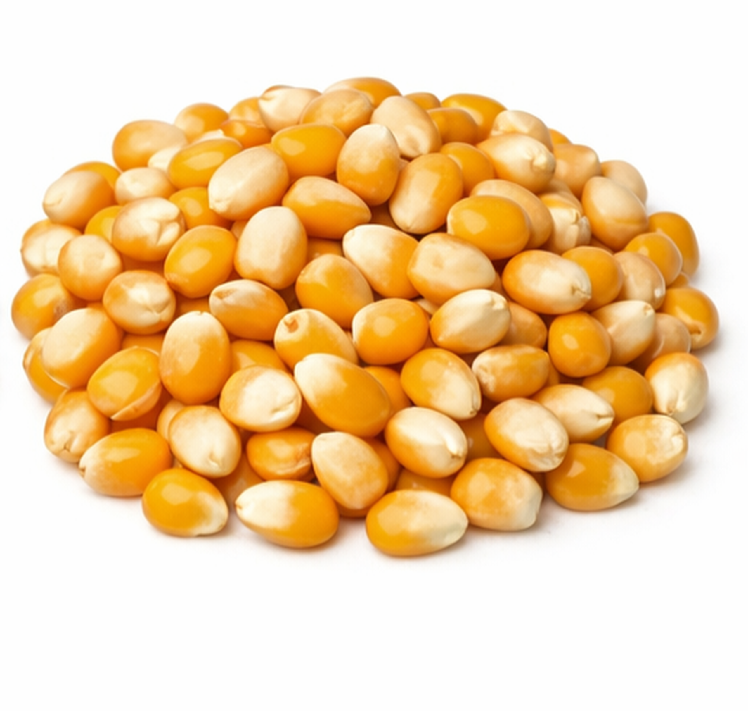 Popcorn seeds