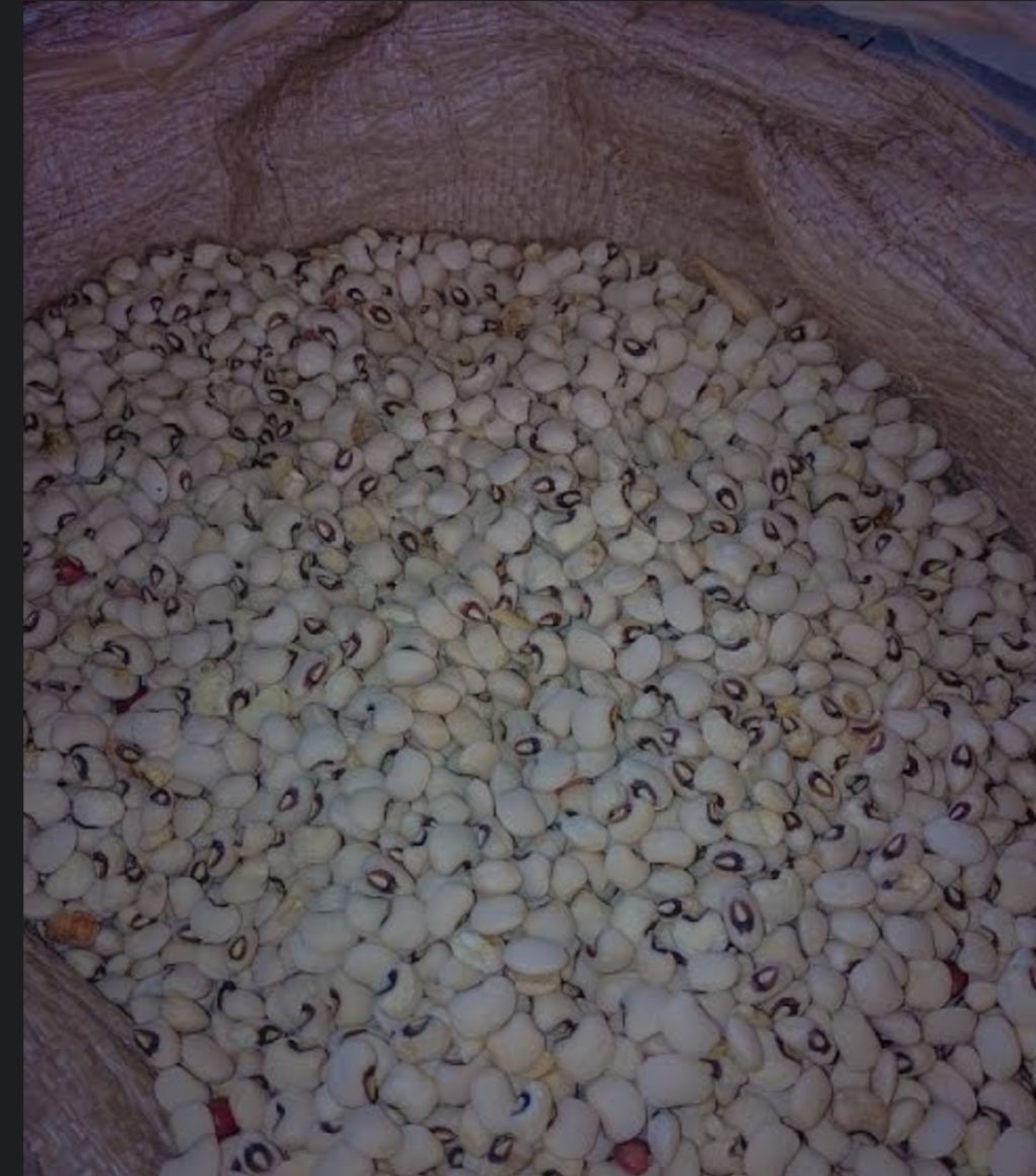 Kunde/ white cowpeas