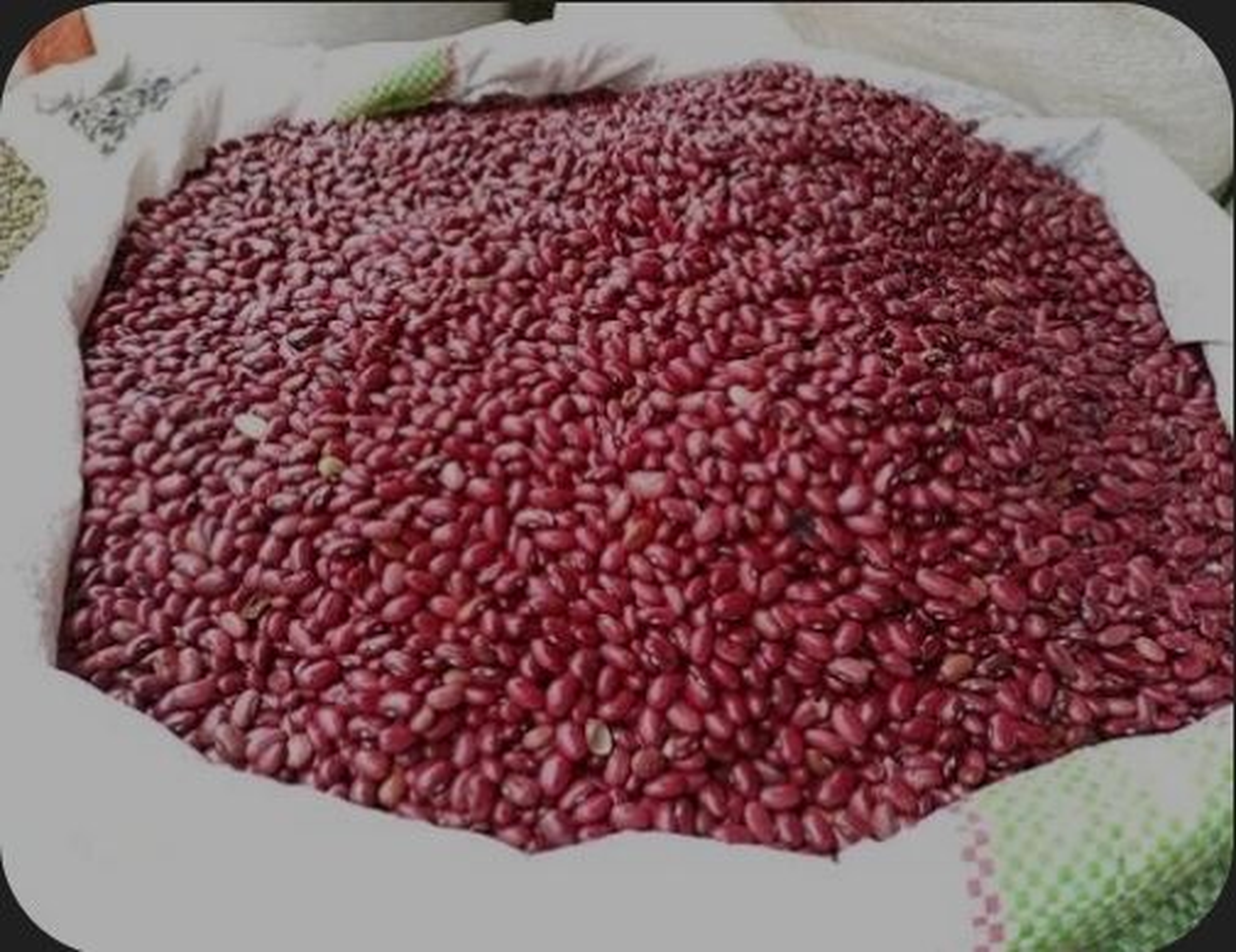 Royal beans/ wairimu