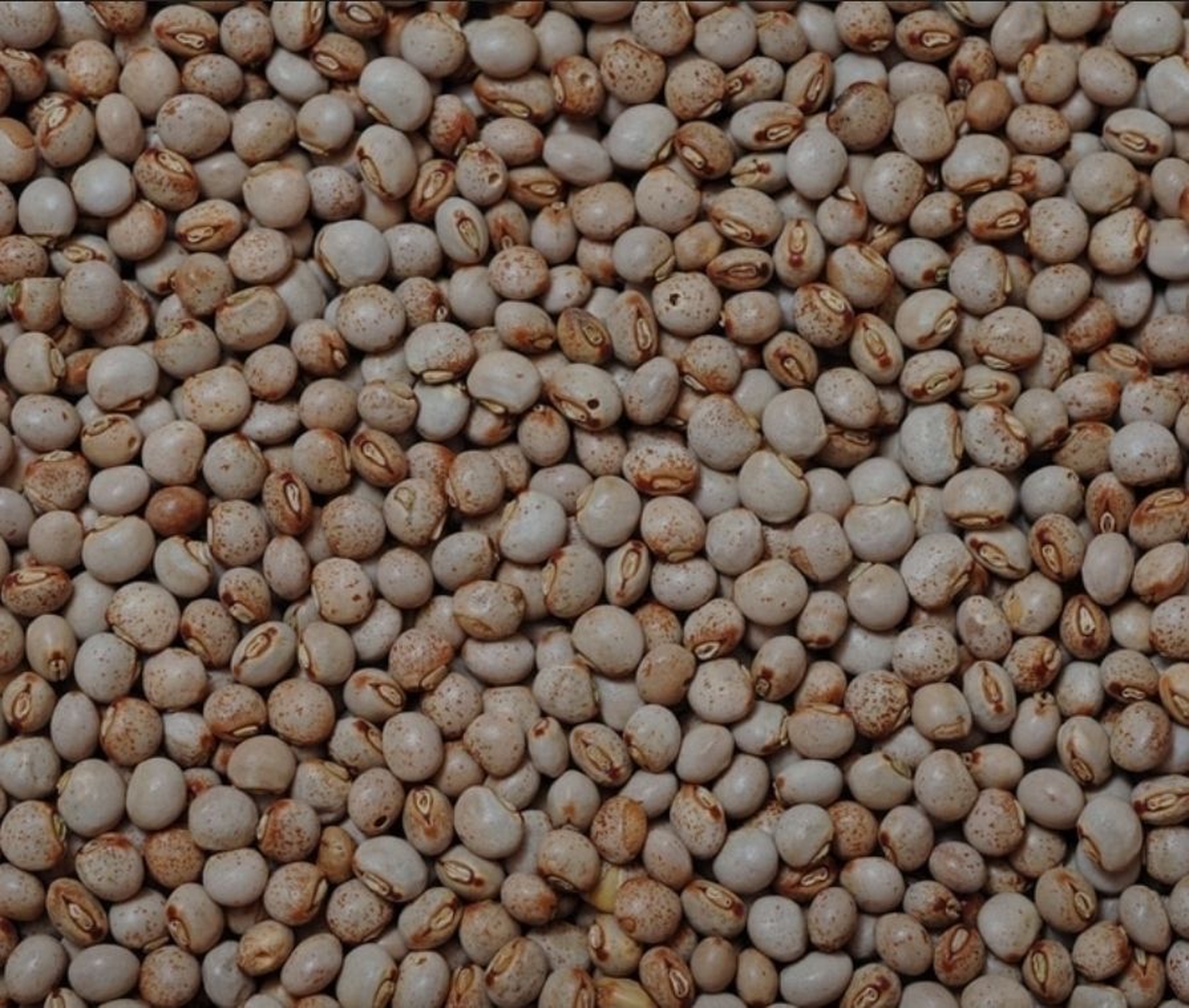 Mbaazi/ pigeon peas