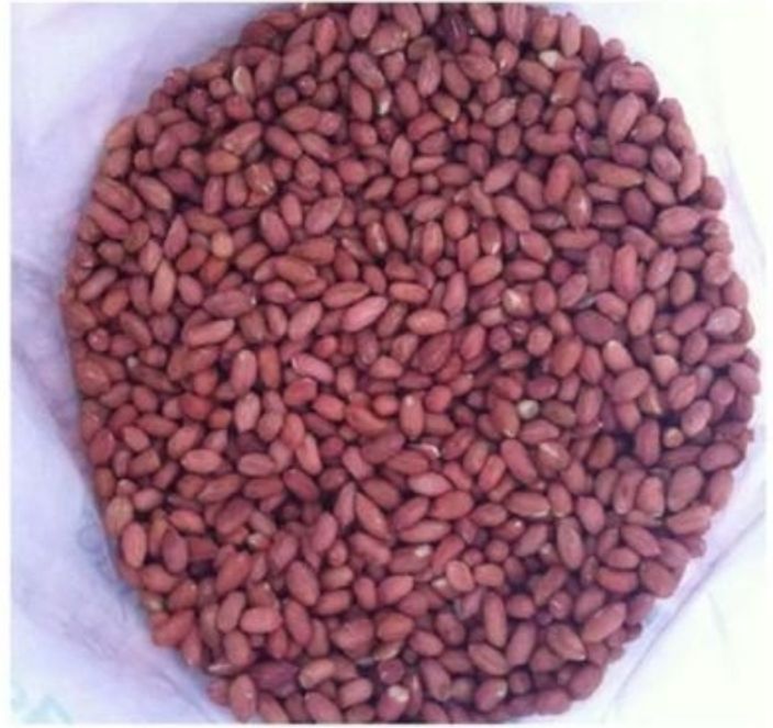Njugu/ red peanut 