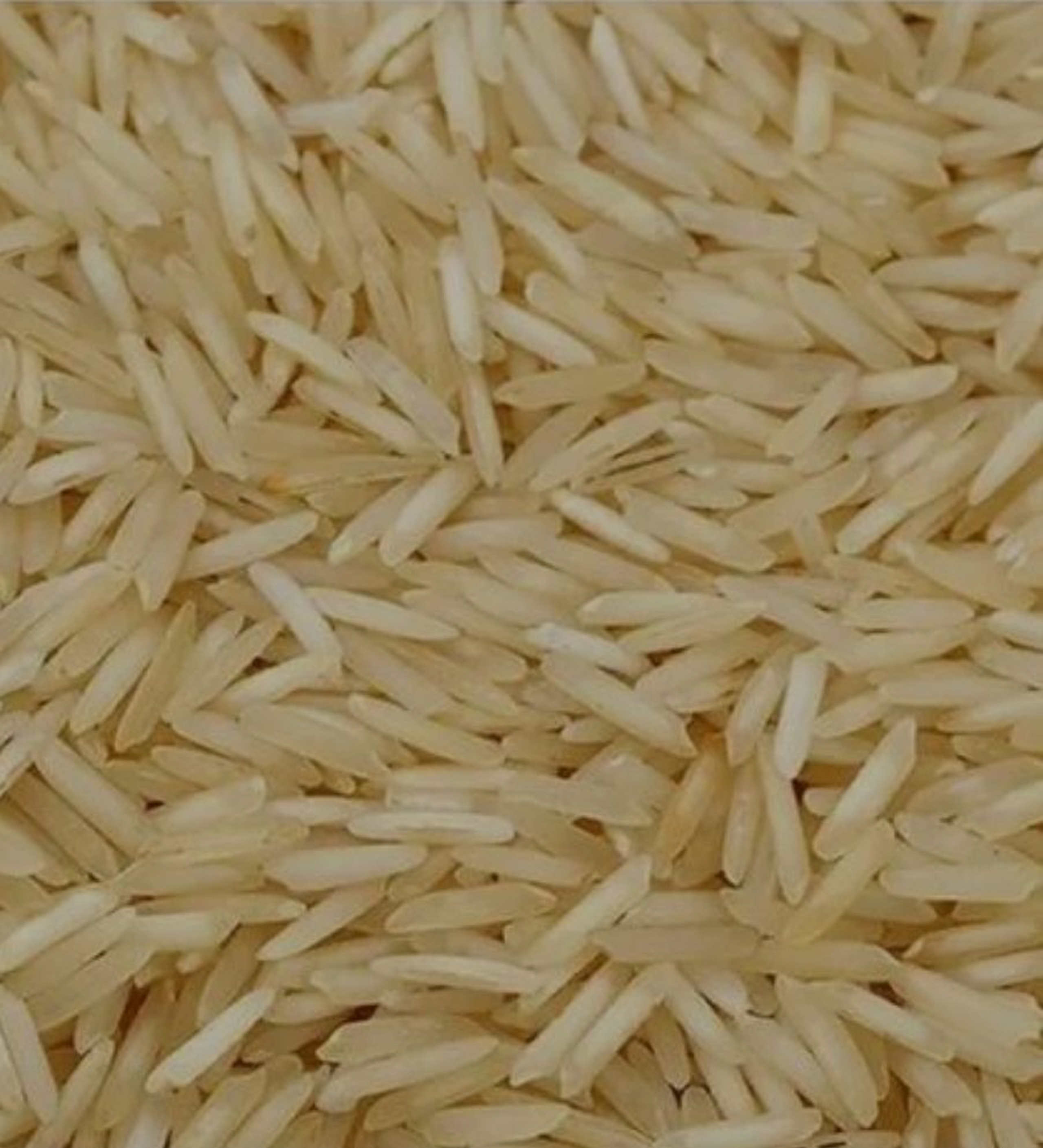 Long grain rice/ sunrise 