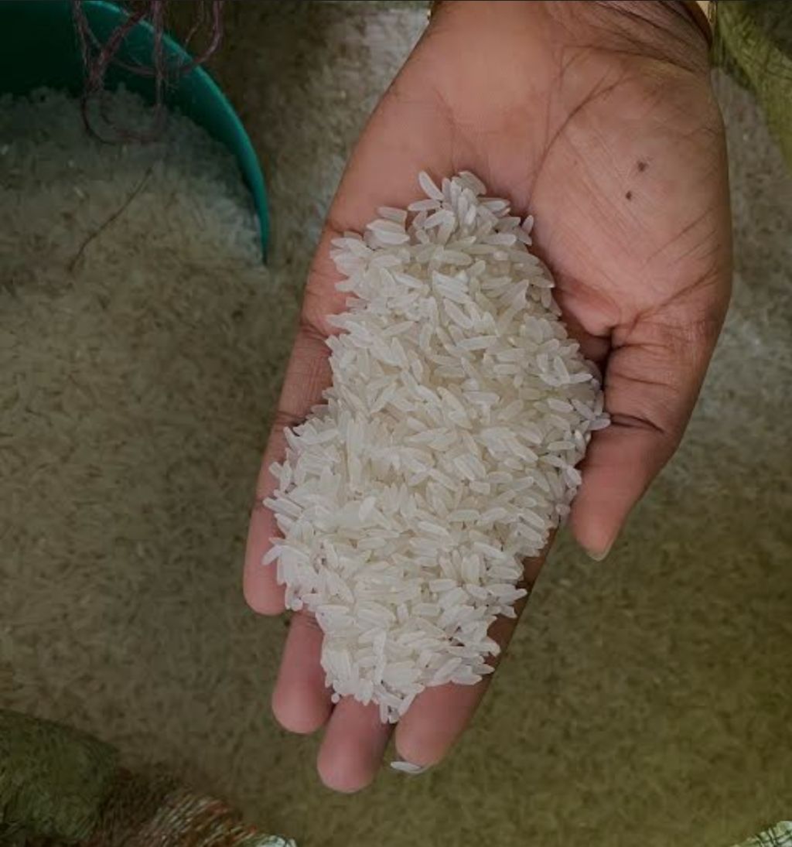 Moshi rice