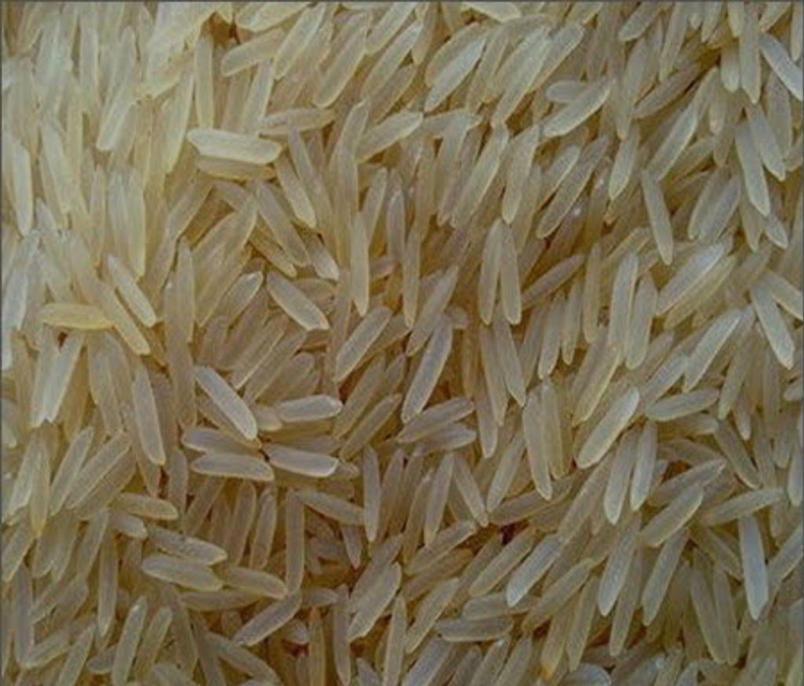 Basmati cream