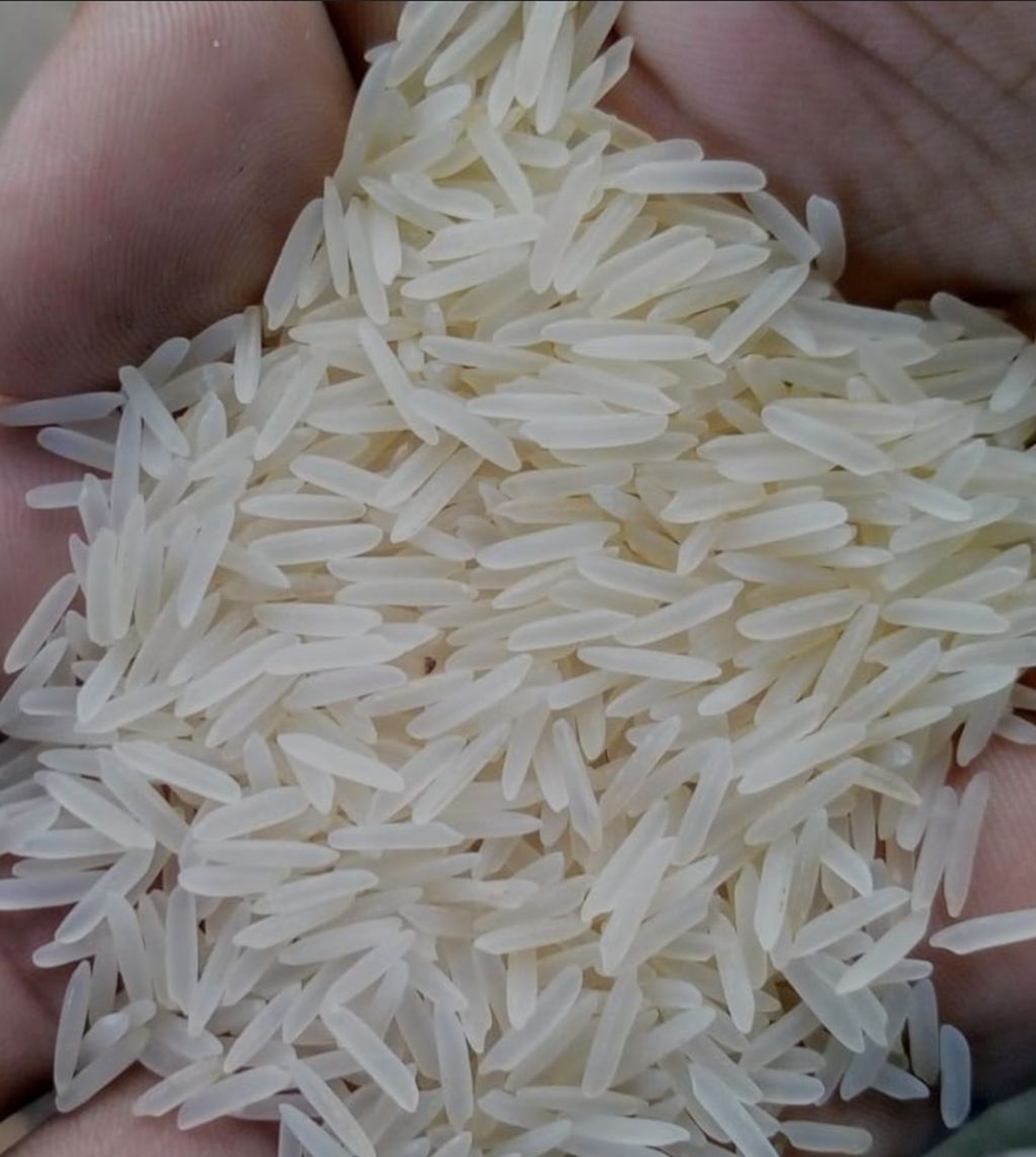 Basmati cream