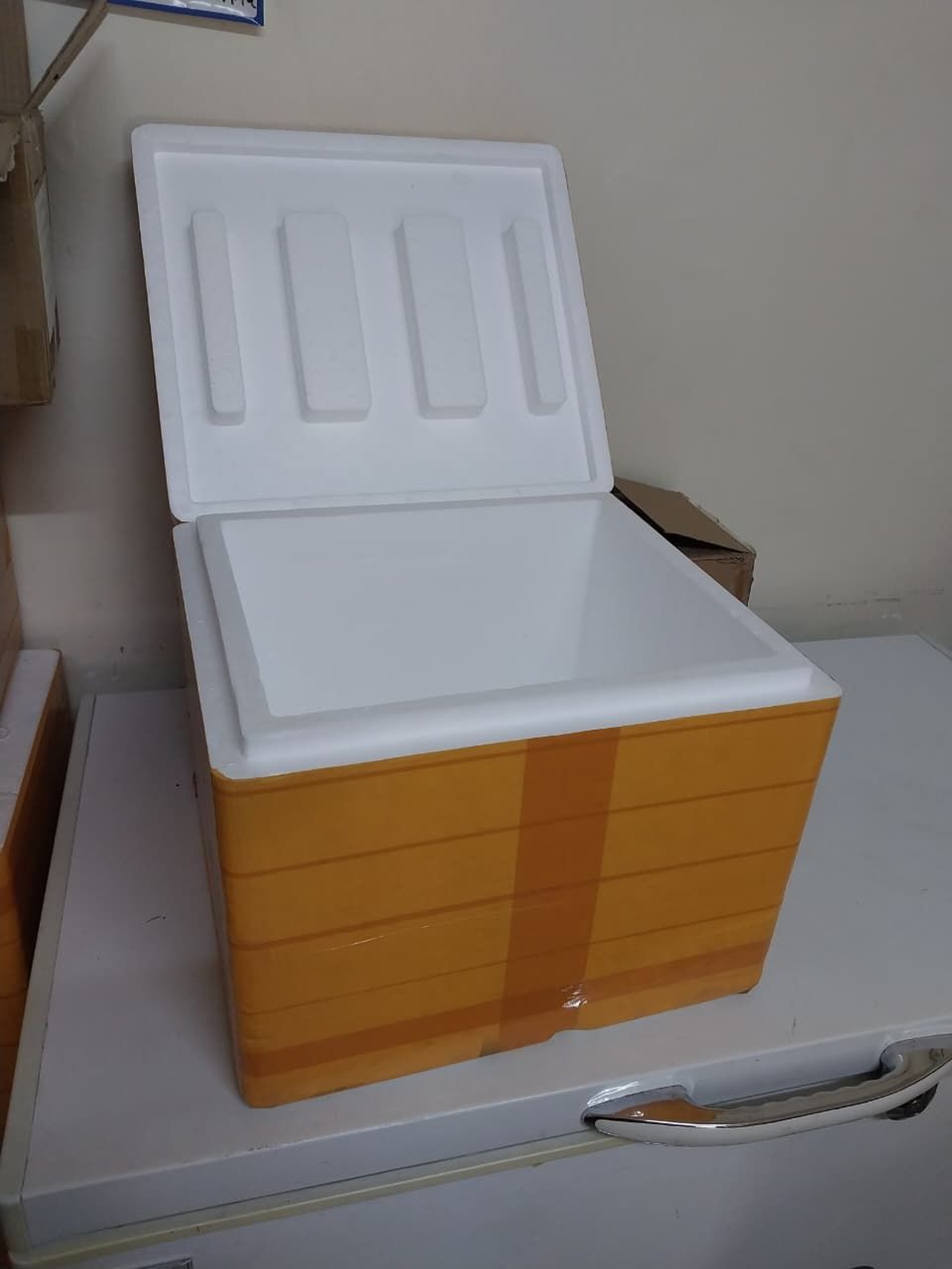 Styrofoam cooler box 25L