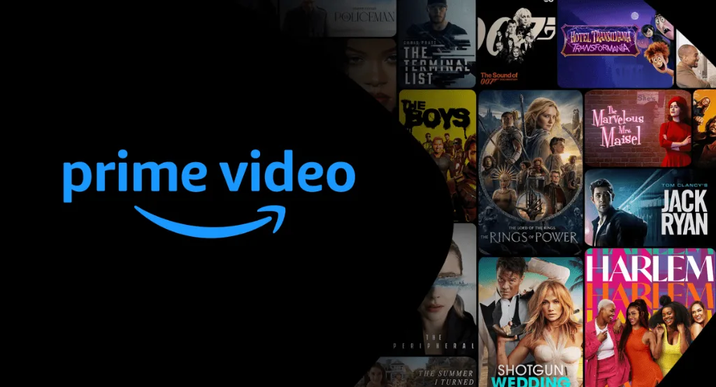 12 months Prime video subscription