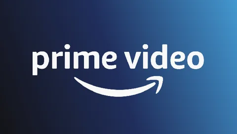12 months Prime video subscription