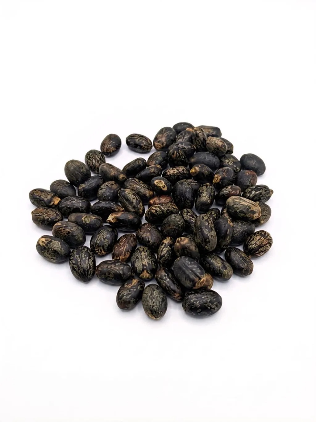 wholesale black castor oil 1ltr
