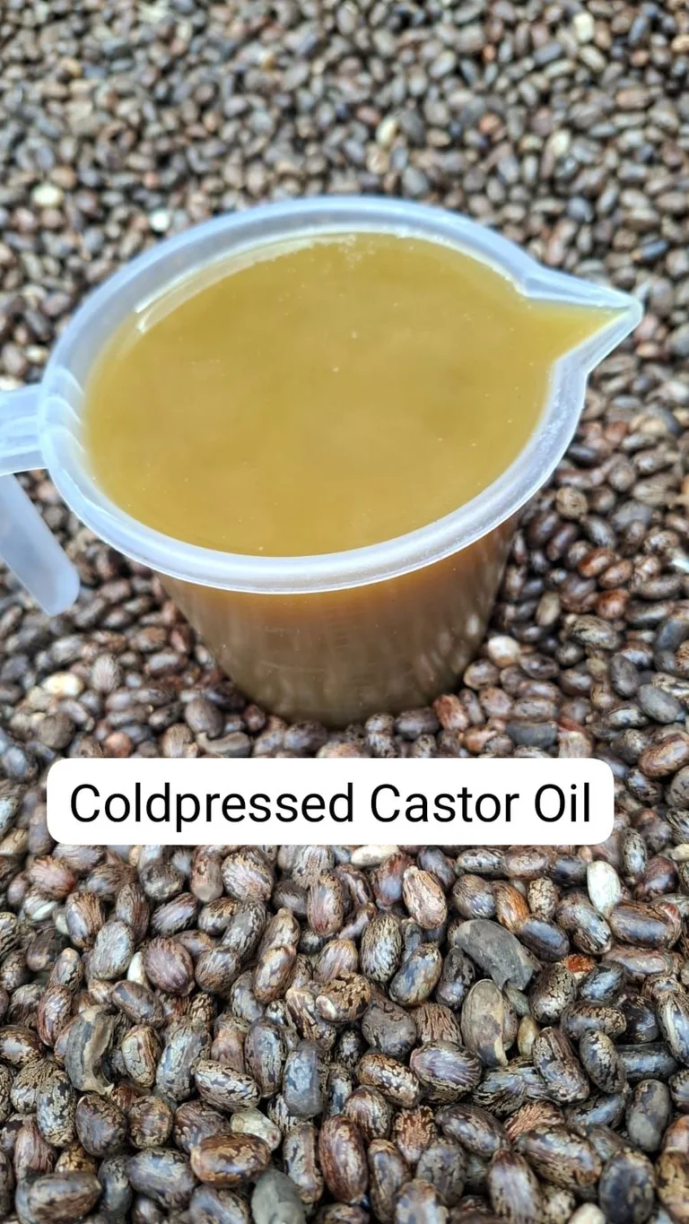 wholesale cold pressed castor oil 1litre