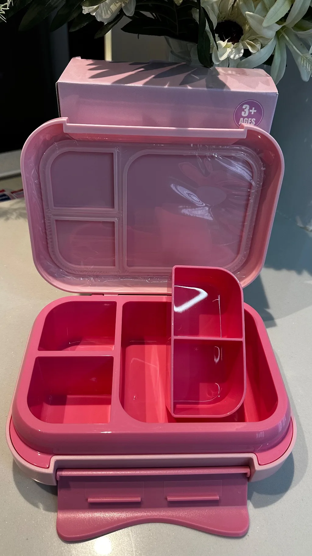Bento Lunch Box (1200ml | 22.6 x 17.6 x 7 cm)