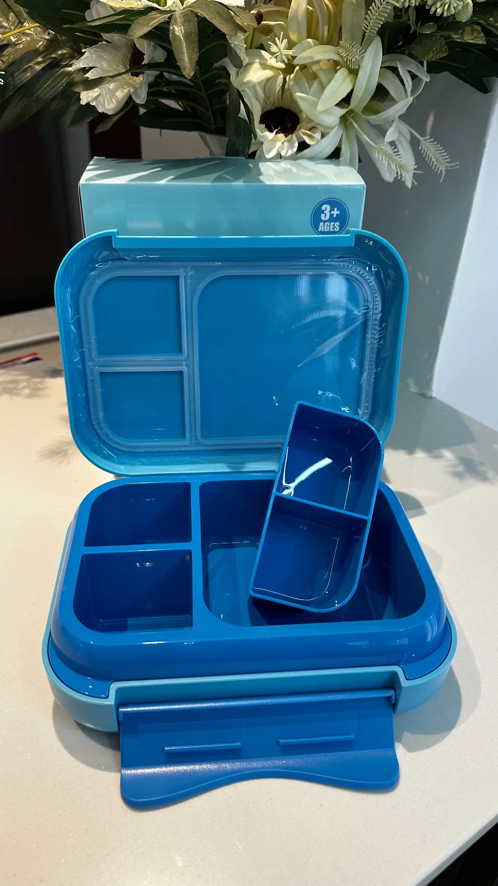Bento Lunch Box (1200ml | 22.6 x 17.6 x 7 cm)