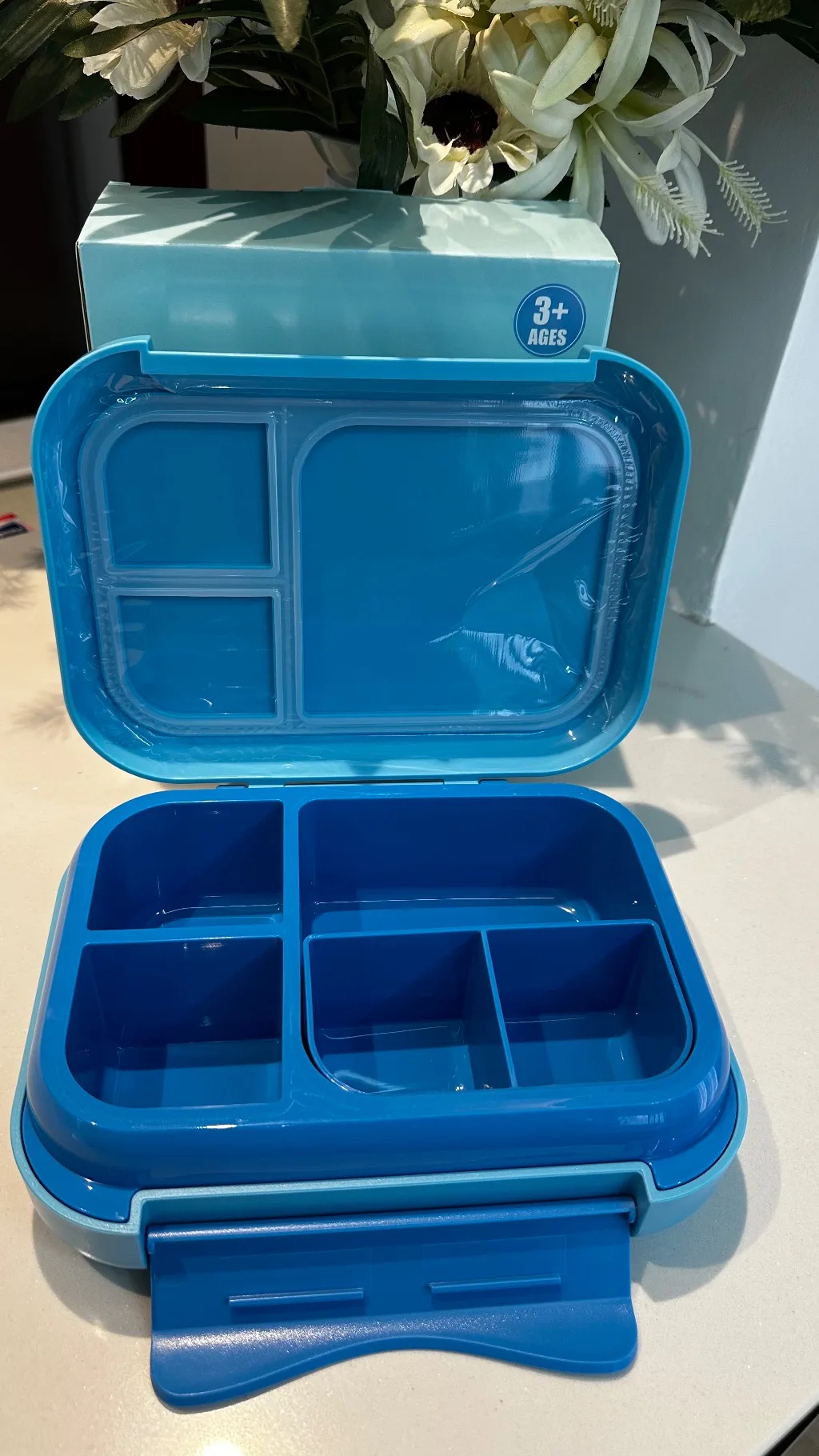 Bento Lunch Box (1200ml | 22.6 x 17.6 x 7 cm)